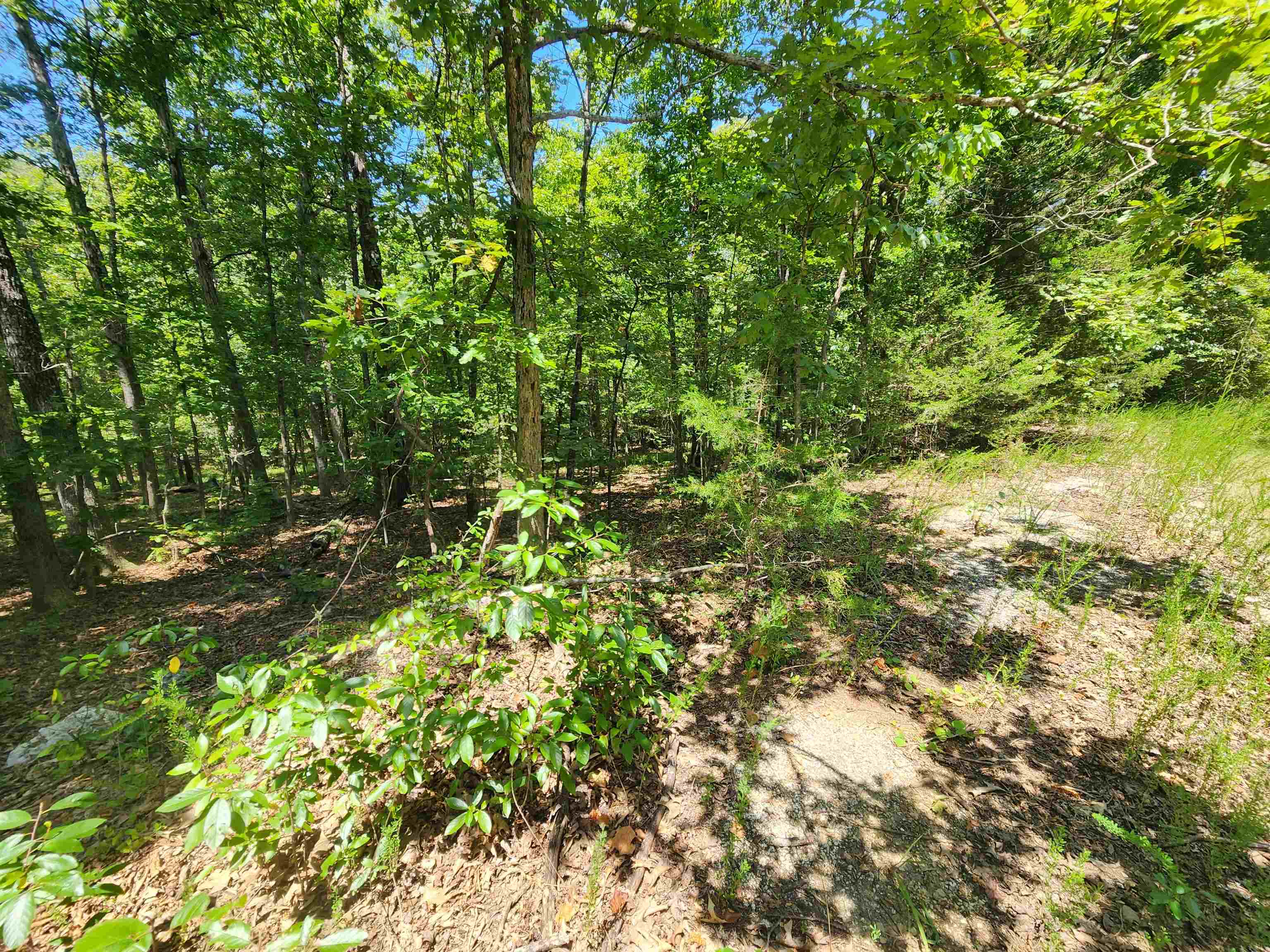 Photo 15 - Vacant Land for sale – L-13, B-6  Calumet   Cherokee Village, AR