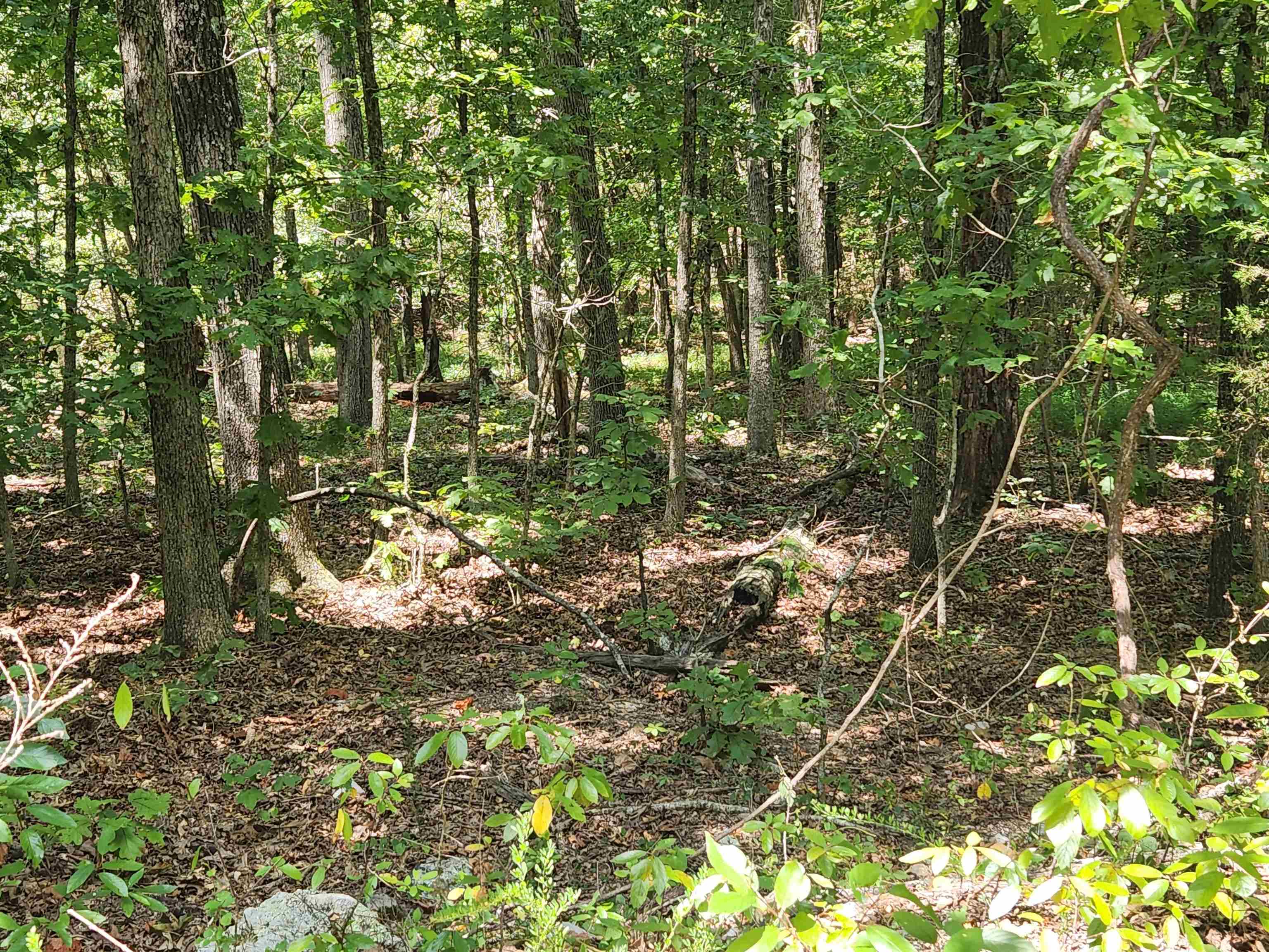 Photo 16 - Vacant Land for sale – L-13, B-6  Calumet   Cherokee Village, AR