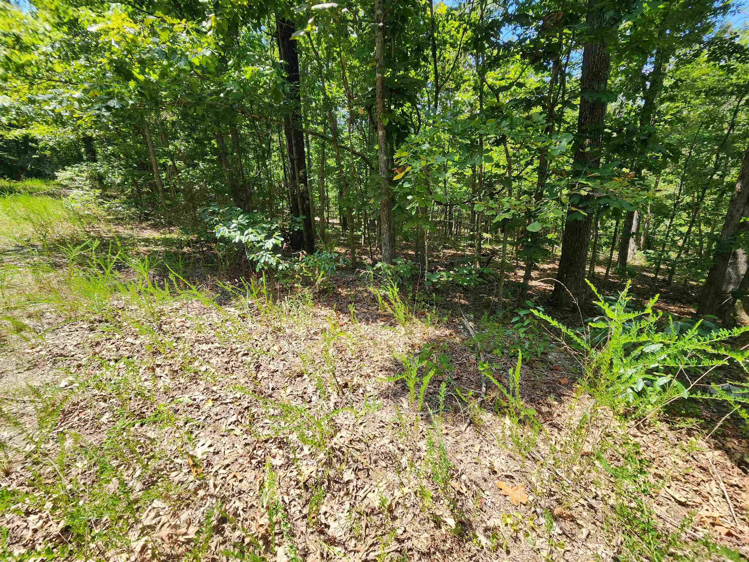 Photo 17 - Vacant Land for sale – L-13, B-6  Calumet   Cherokee Village, AR