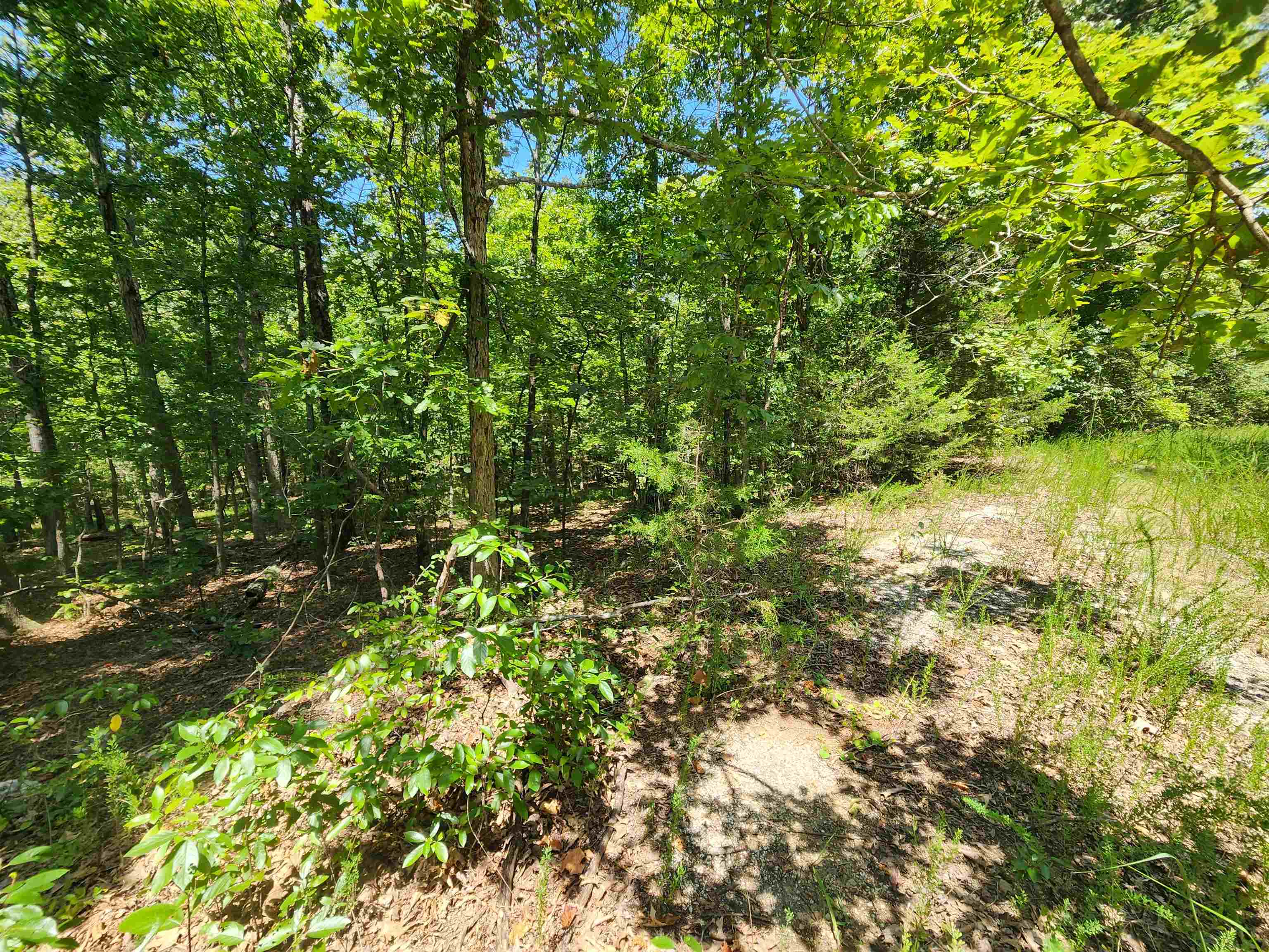 Photo 18 - Vacant Land for sale – L-13, B-6  Calumet   Cherokee Village, AR