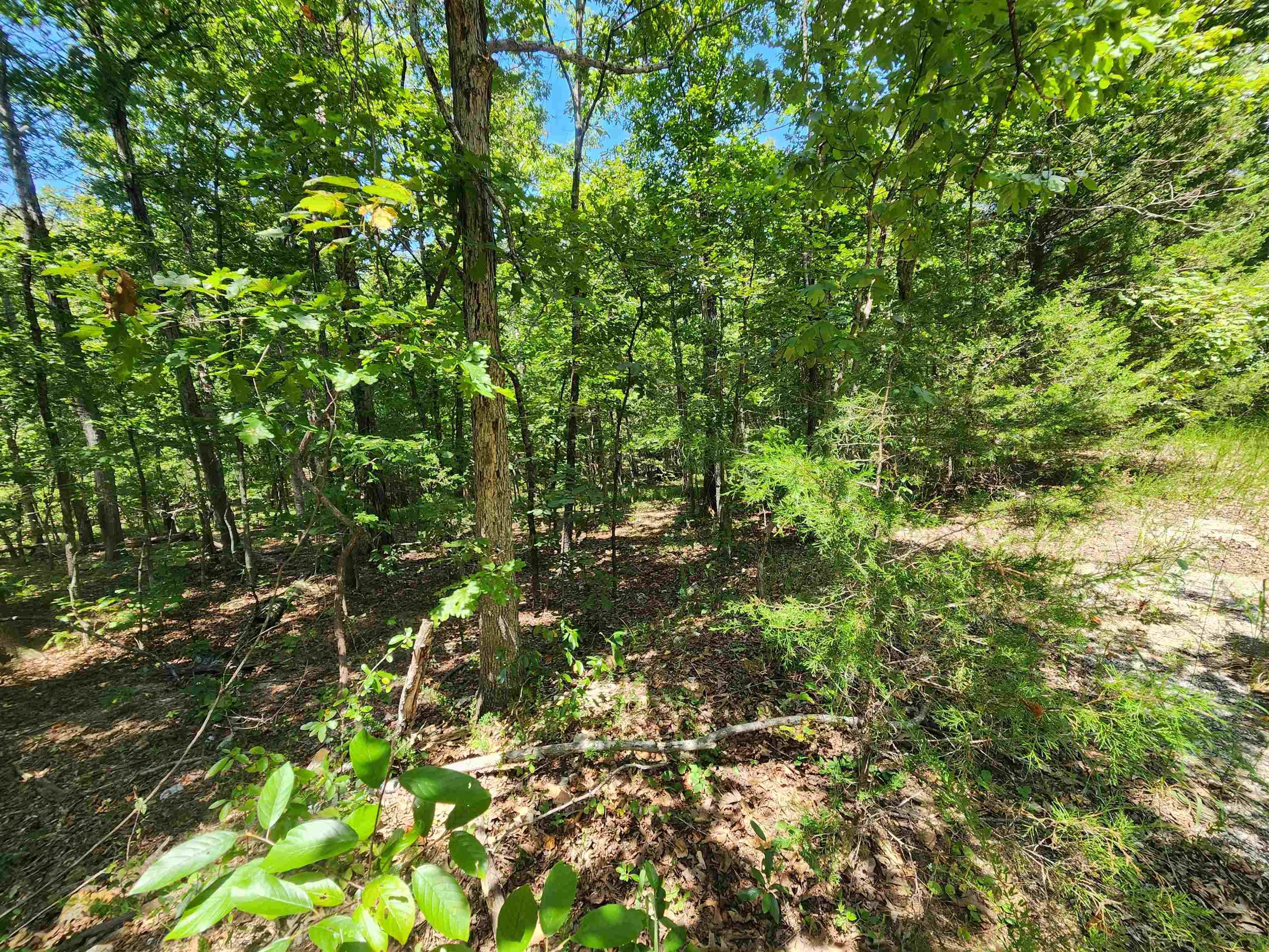 Photo 19 - Vacant Land for sale – L-13, B-6  Calumet   Cherokee Village, AR