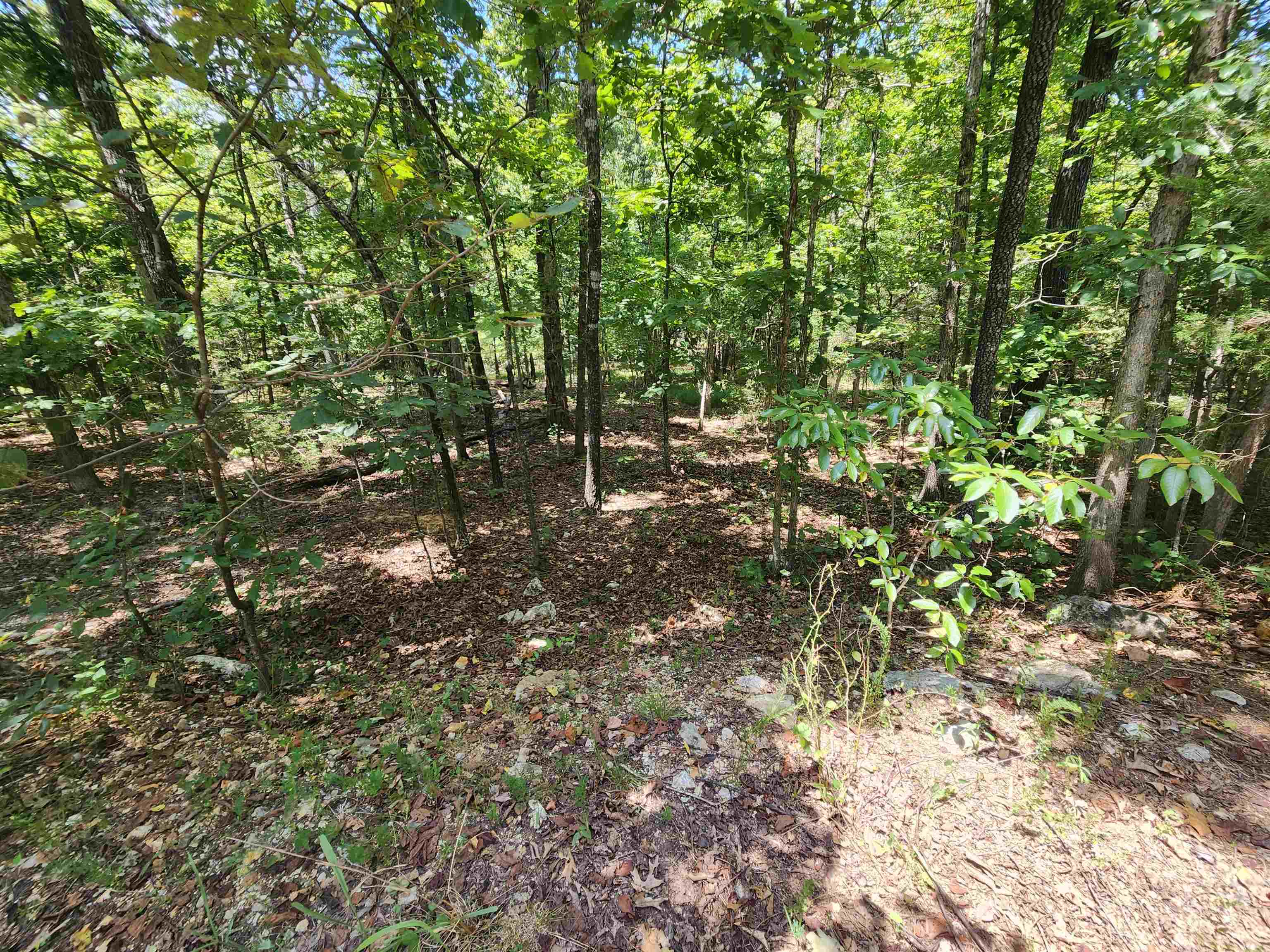 Photo 20 - Vacant Land for sale – L-13, B-6  Calumet   Cherokee Village, AR