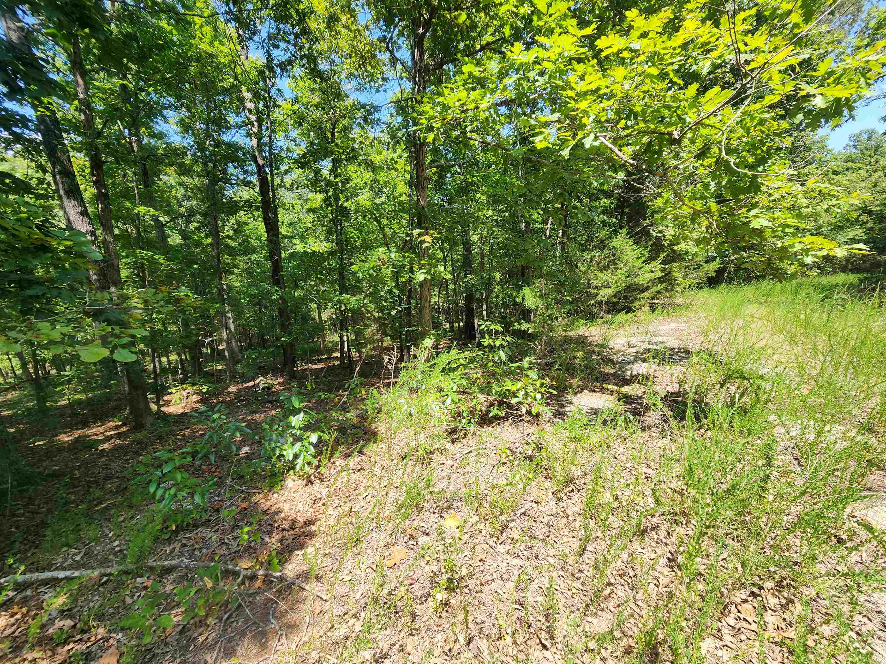 Photo 3 - Vacant Land for sale – L-13, B-6  Calumet   Cherokee Village, AR
