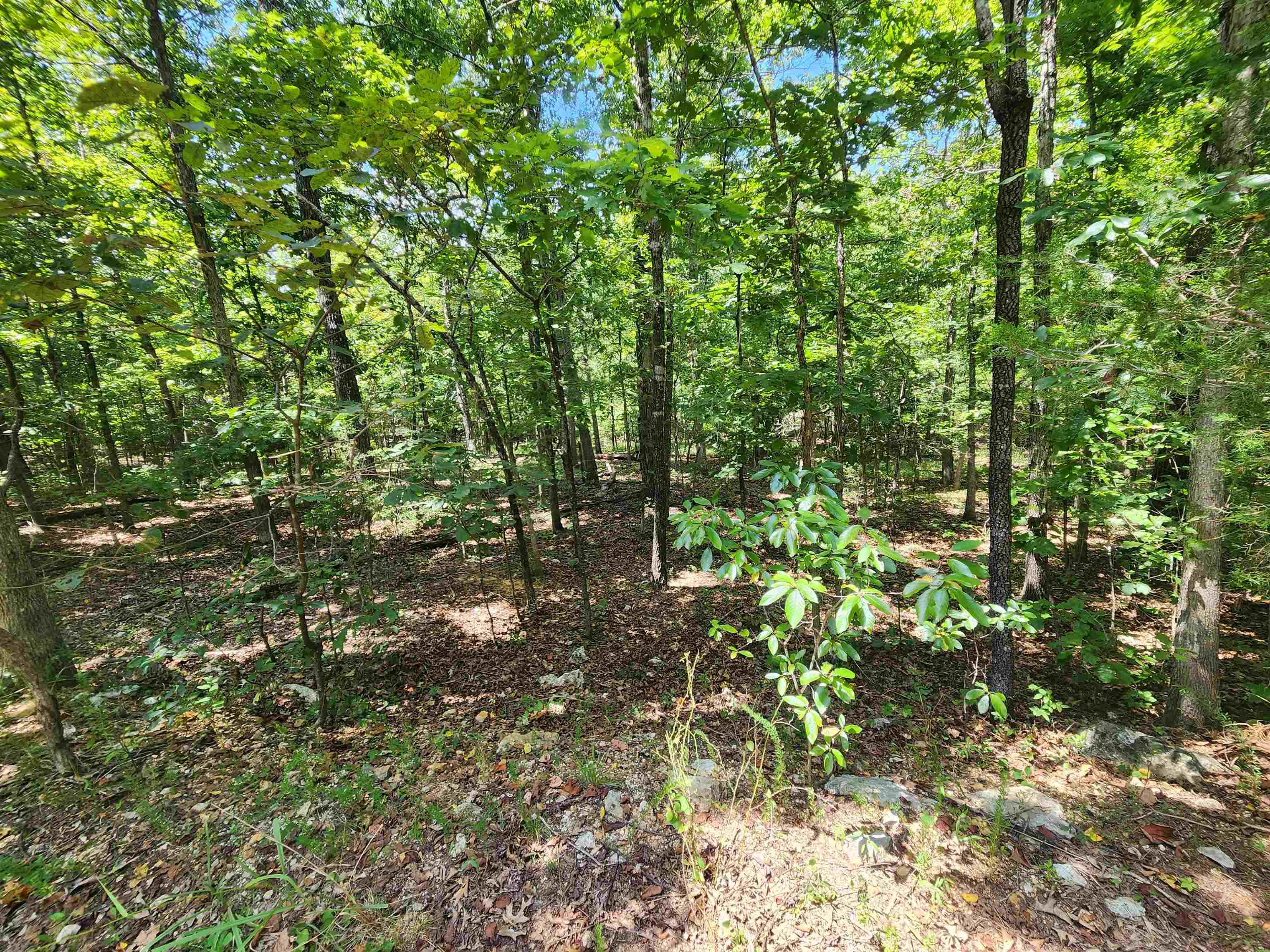 Photo 21 - Vacant Land for sale – L-13, B-6  Calumet   Cherokee Village, AR