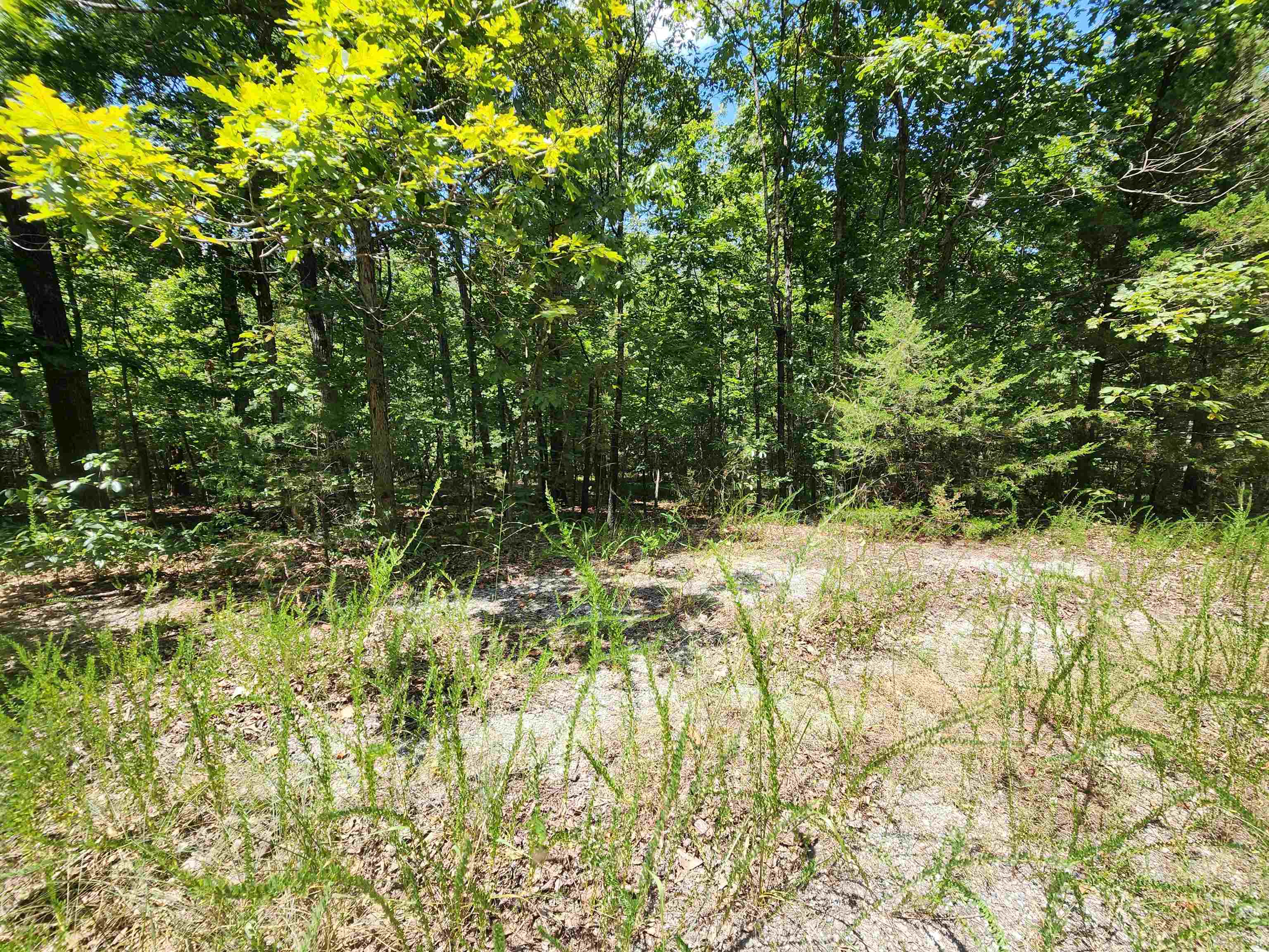 Photo 22 - Vacant Land for sale – L-13, B-6  Calumet   Cherokee Village, AR