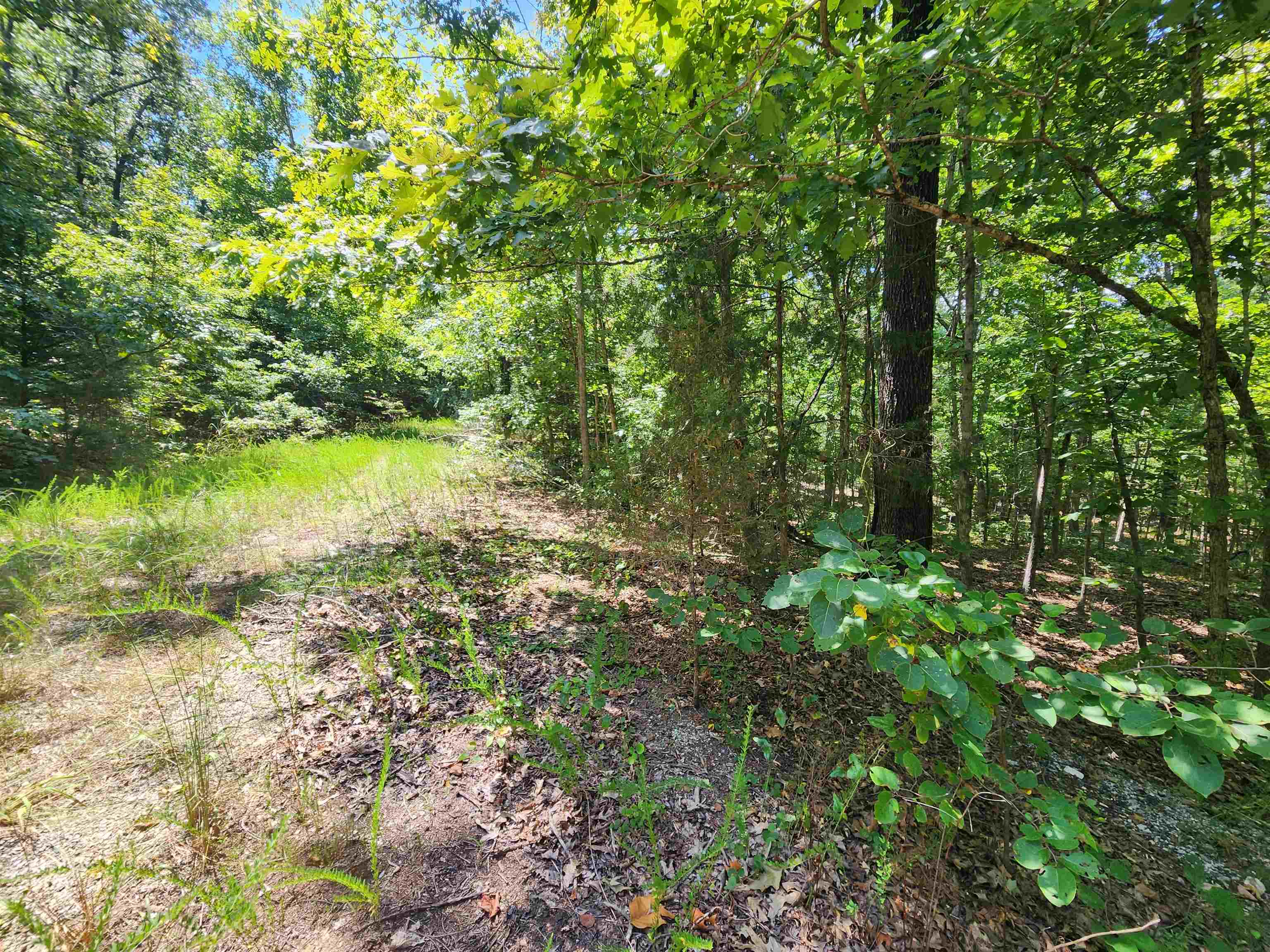 Photo 4 - Vacant Land for sale – L-13, B-6  Calumet   Cherokee Village, AR
