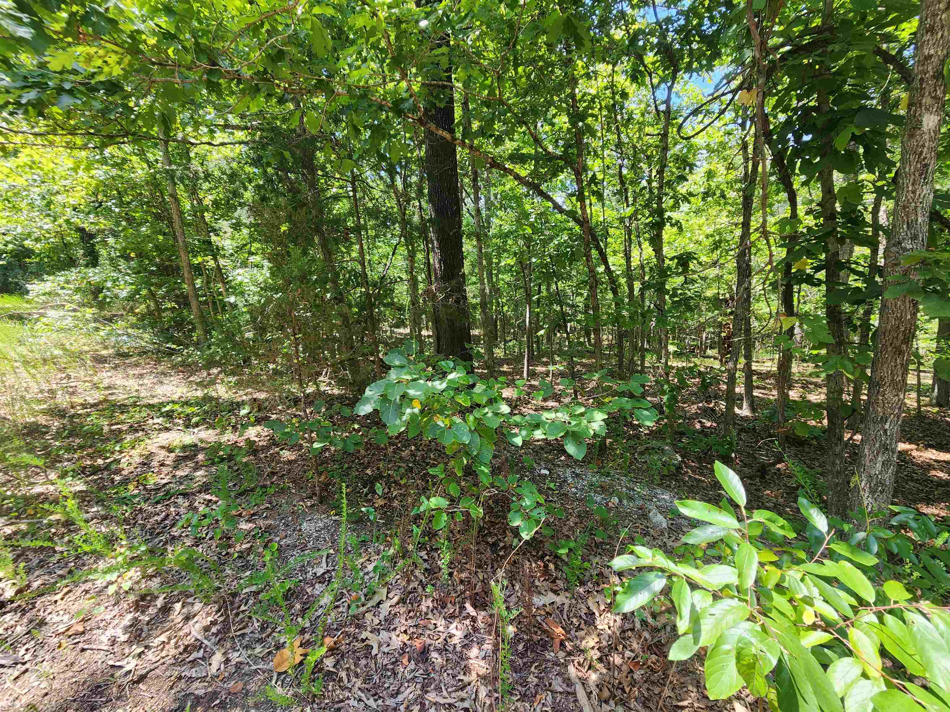 Photo 5 - Vacant Land for sale – L-13, B-6  Calumet   Cherokee Village, AR