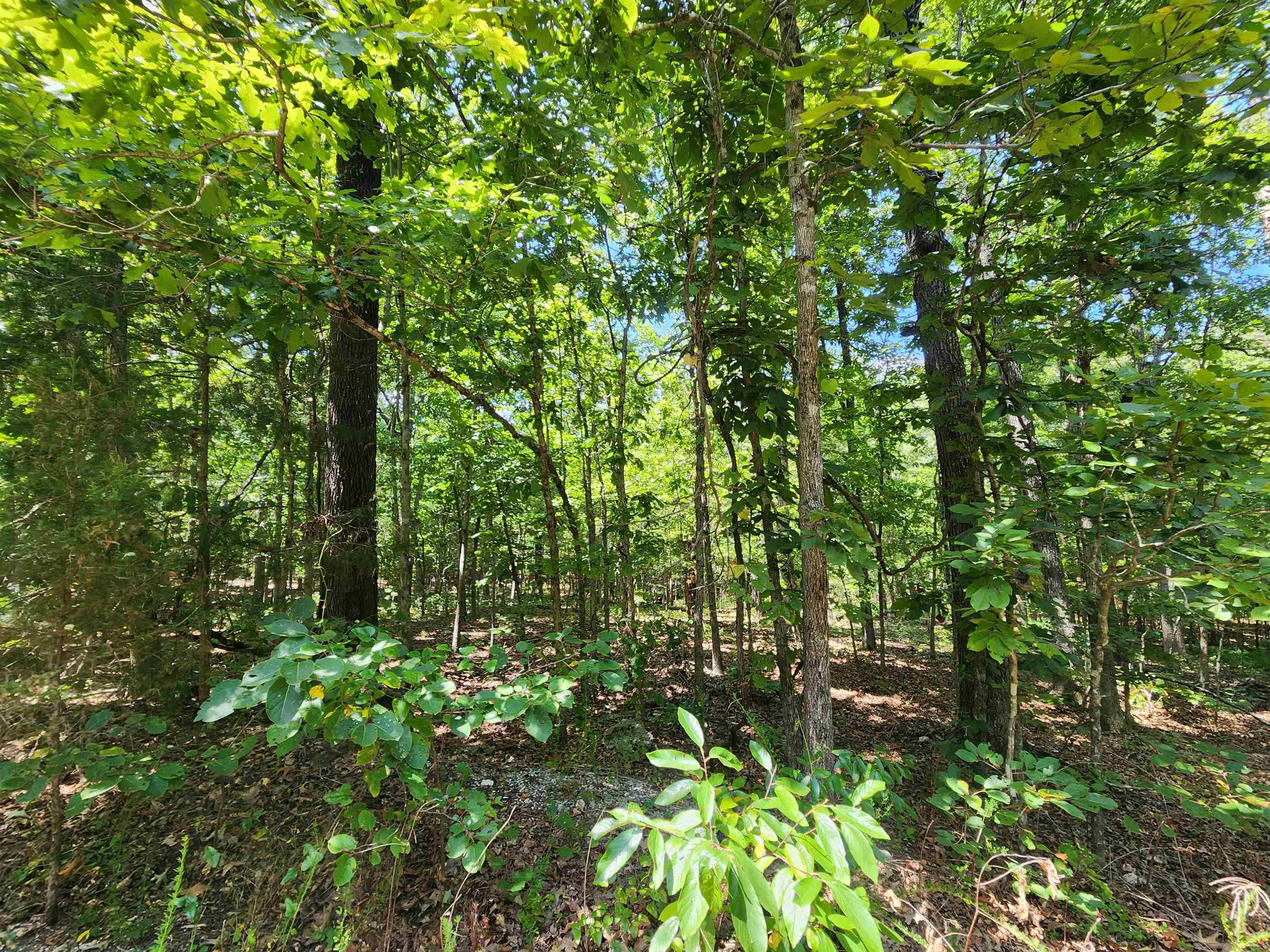 Photo 6 - Vacant Land for sale – L-13, B-6  Calumet   Cherokee Village, AR