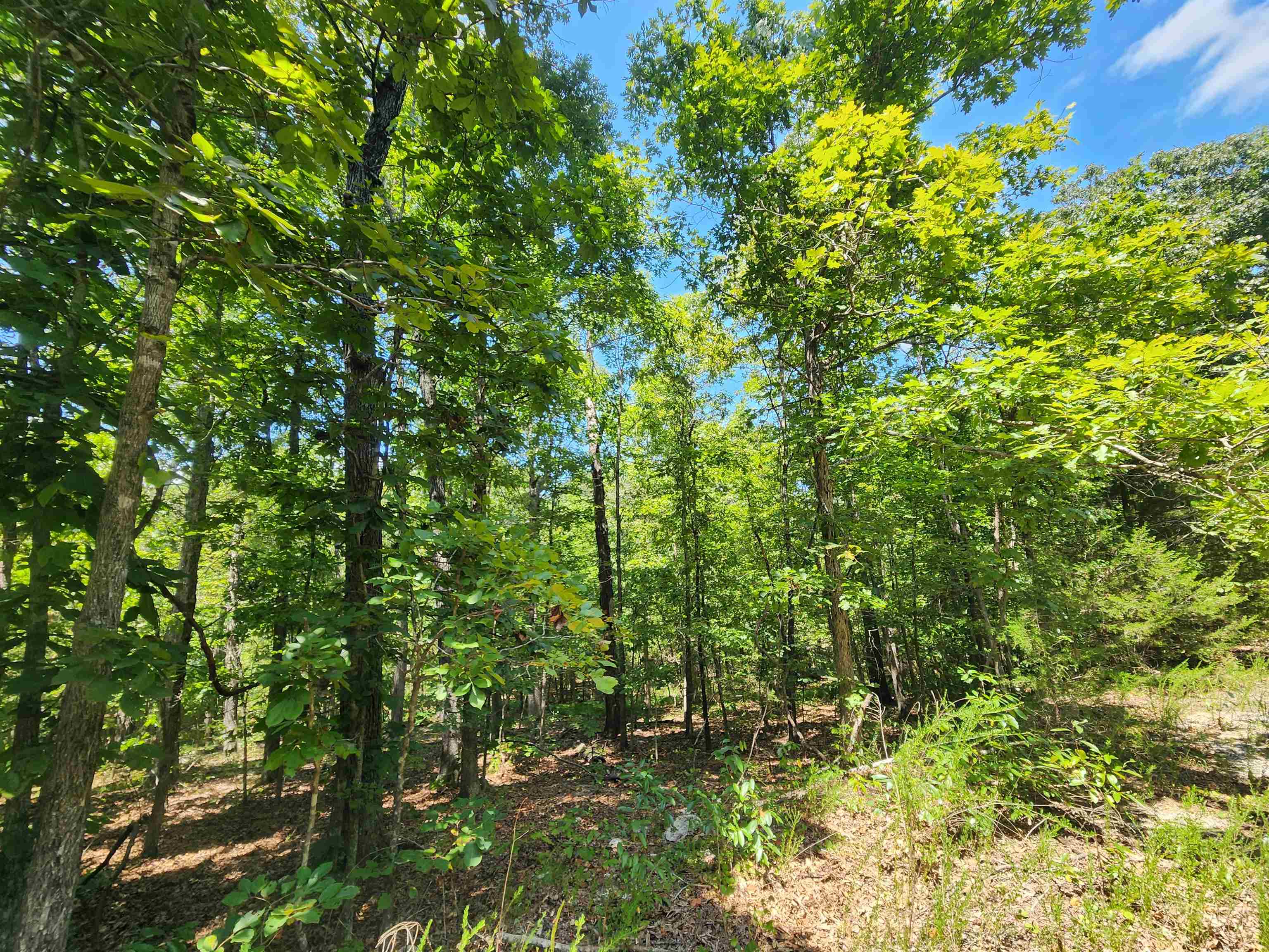Photo 7 - Vacant Land for sale – L-13, B-6  Calumet   Cherokee Village, AR