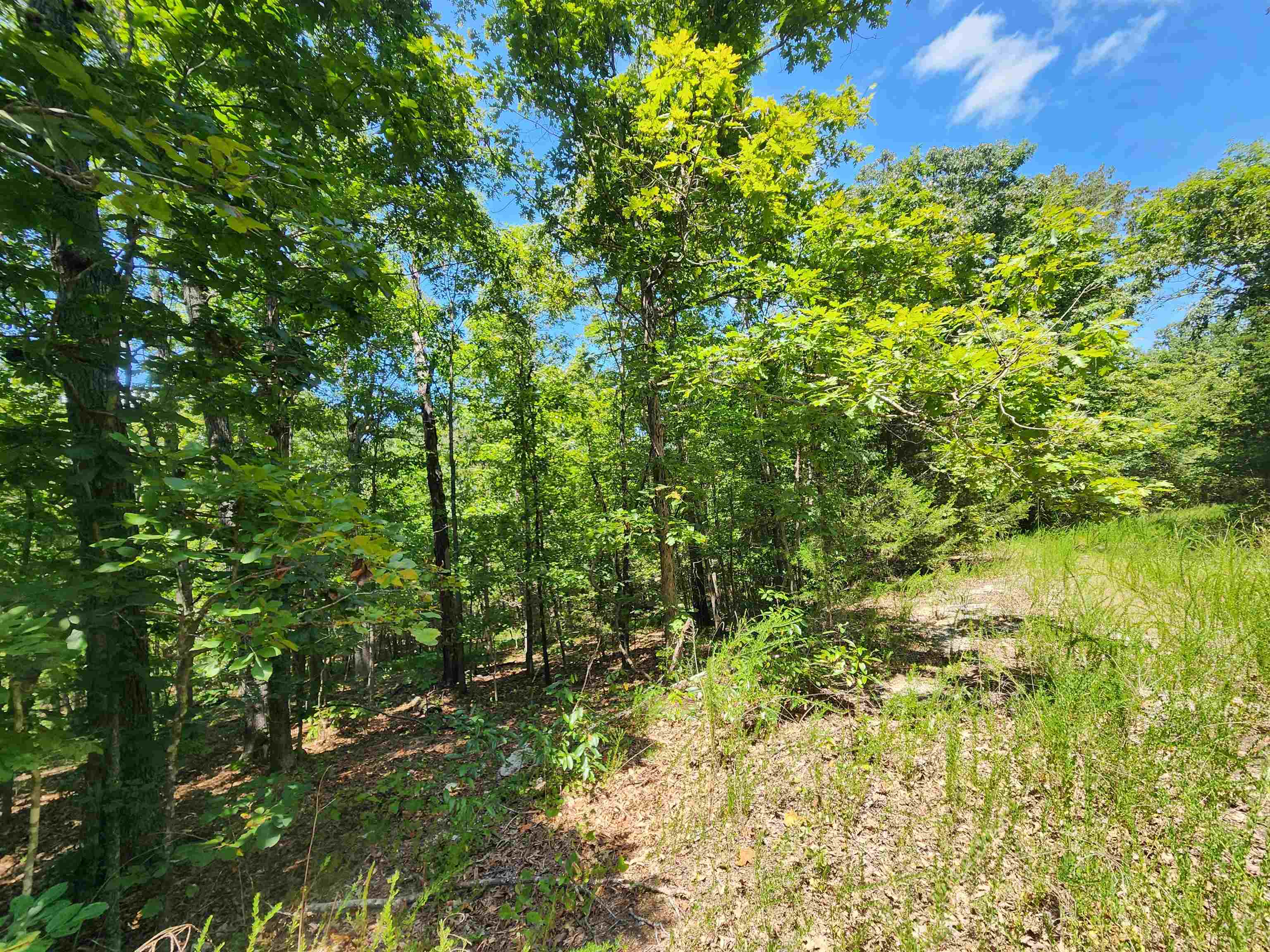 Photo 8 - Vacant Land for sale – L-13, B-6  Calumet   Cherokee Village, AR