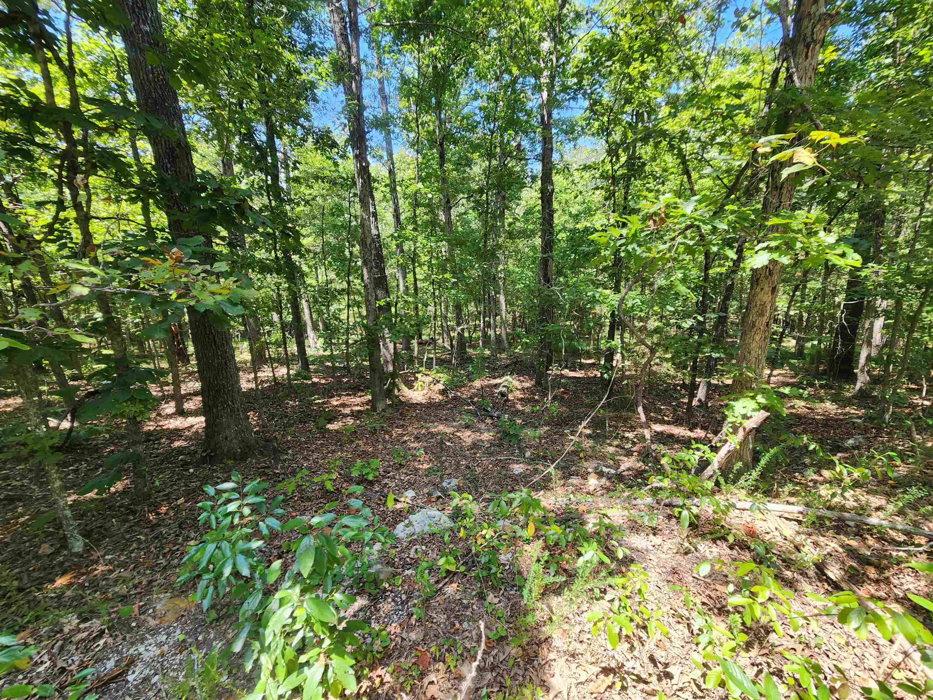 Photo 9 - Vacant Land for sale – L-13, B-6  Calumet   Cherokee Village, AR