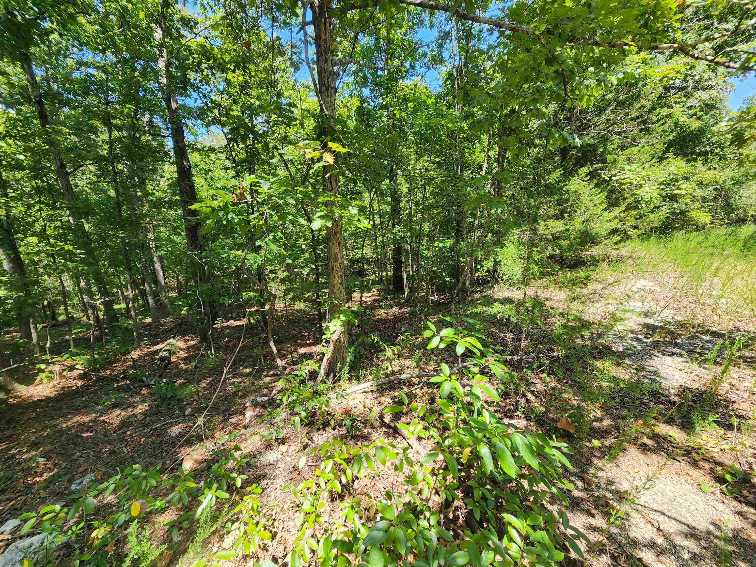 Photo 10 - Vacant Land for sale – L-13, B-6  Calumet   Cherokee Village, AR