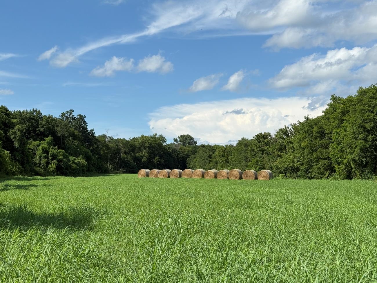 Photo 2 - Vacant Land for sale – 00  Highway 63   Hardy, AR
