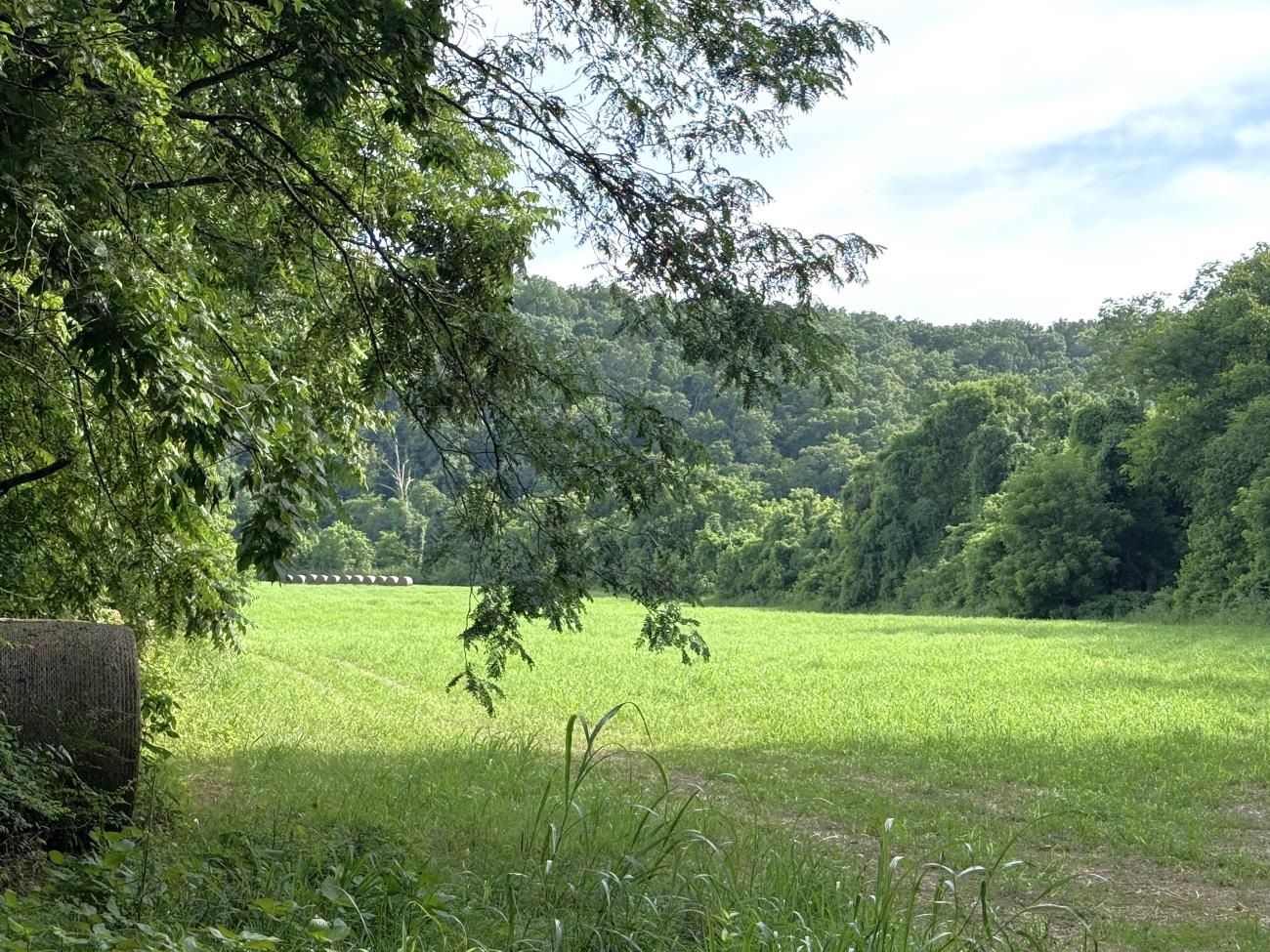 Photo 12 - Vacant Land for sale – 00  Highway 63   Hardy, AR