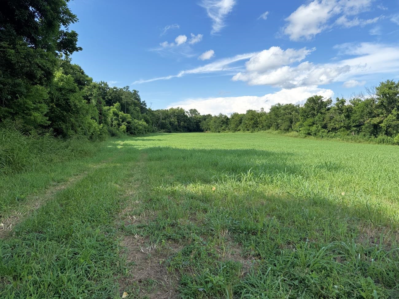Photo 13 - Vacant Land for sale – 00  Highway 63   Hardy, AR