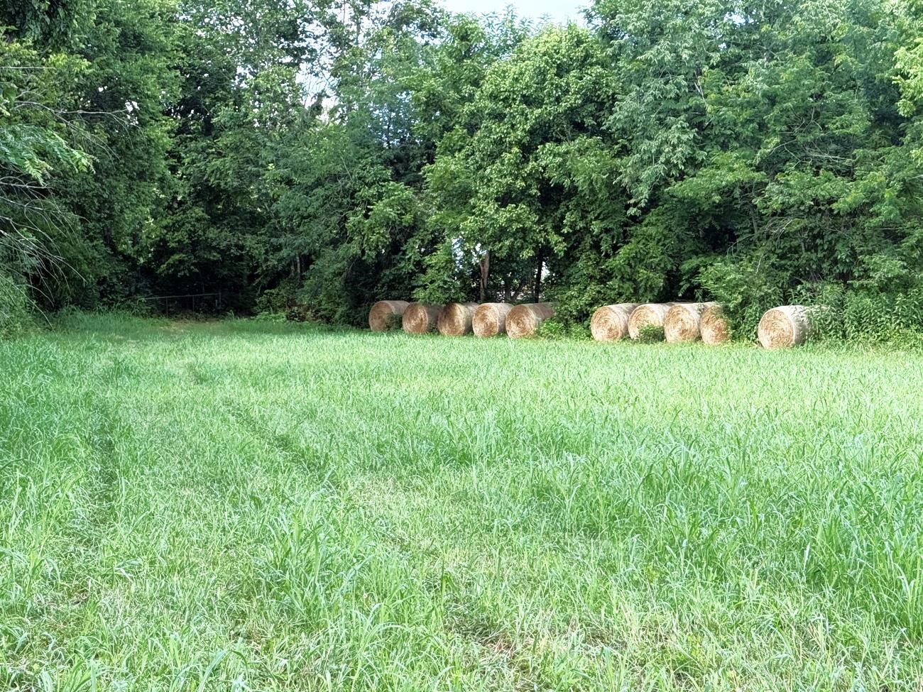 Photo 14 - Vacant Land for sale – 00  Highway 63   Hardy, AR