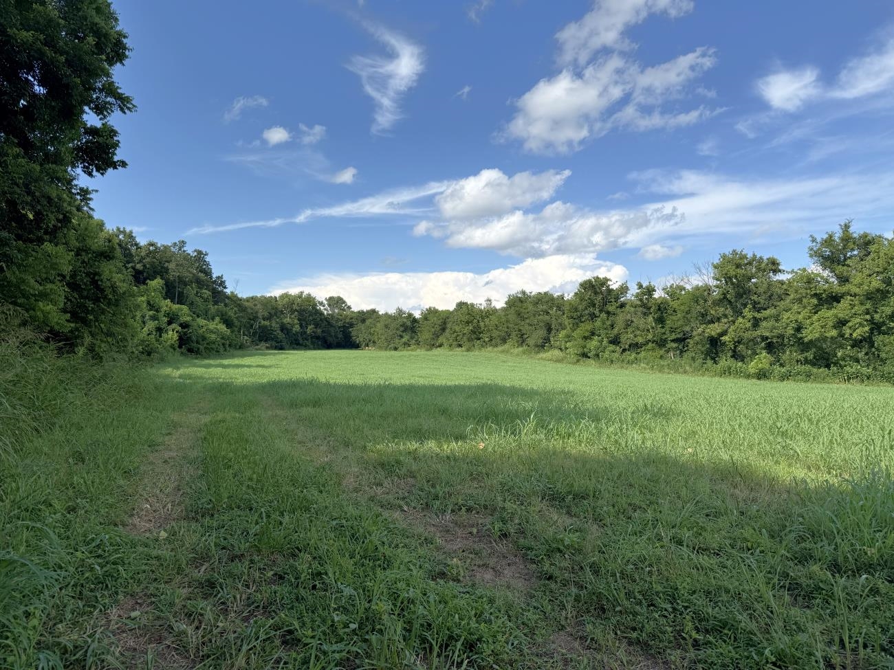Photo 16 - Vacant Land for sale – 00  Highway 63   Hardy, AR