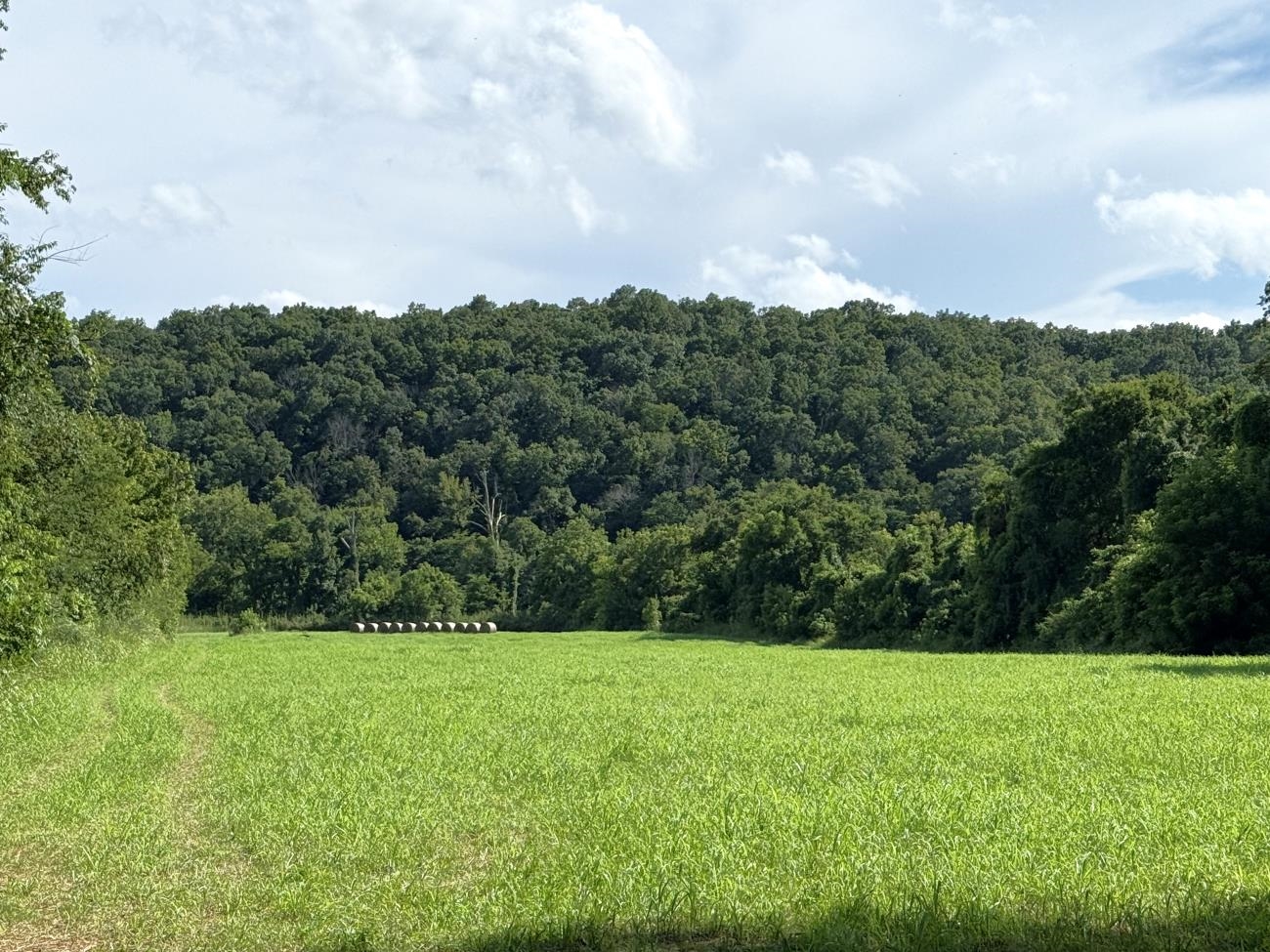 Photo 18 - Vacant Land for sale – 00  Highway 63   Hardy, AR