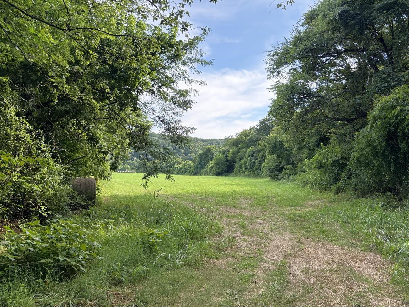 Photo 19 - Vacant Land for sale – 00  Highway 63   Hardy, AR