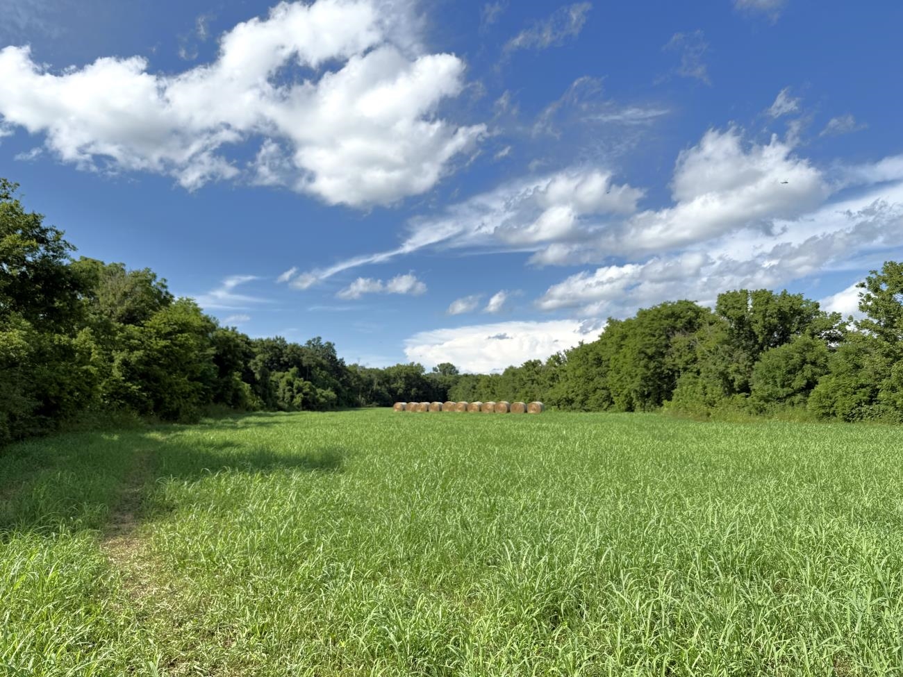 Photo 3 - Vacant Land for sale – 00  Highway 63   Hardy, AR