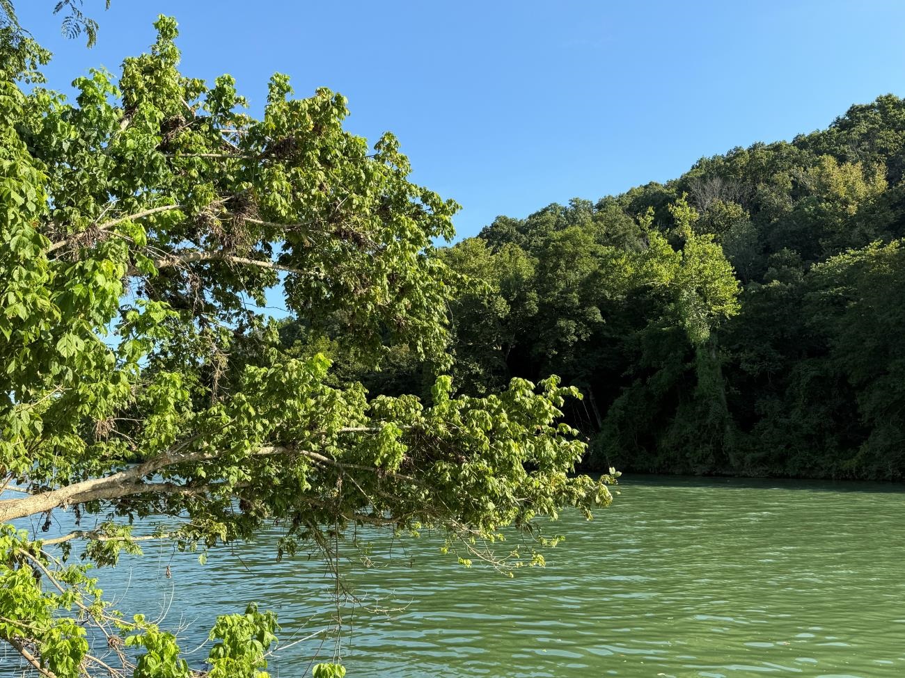 Photo 9 - Vacant Land for sale – 00  Highway 63   Hardy, AR