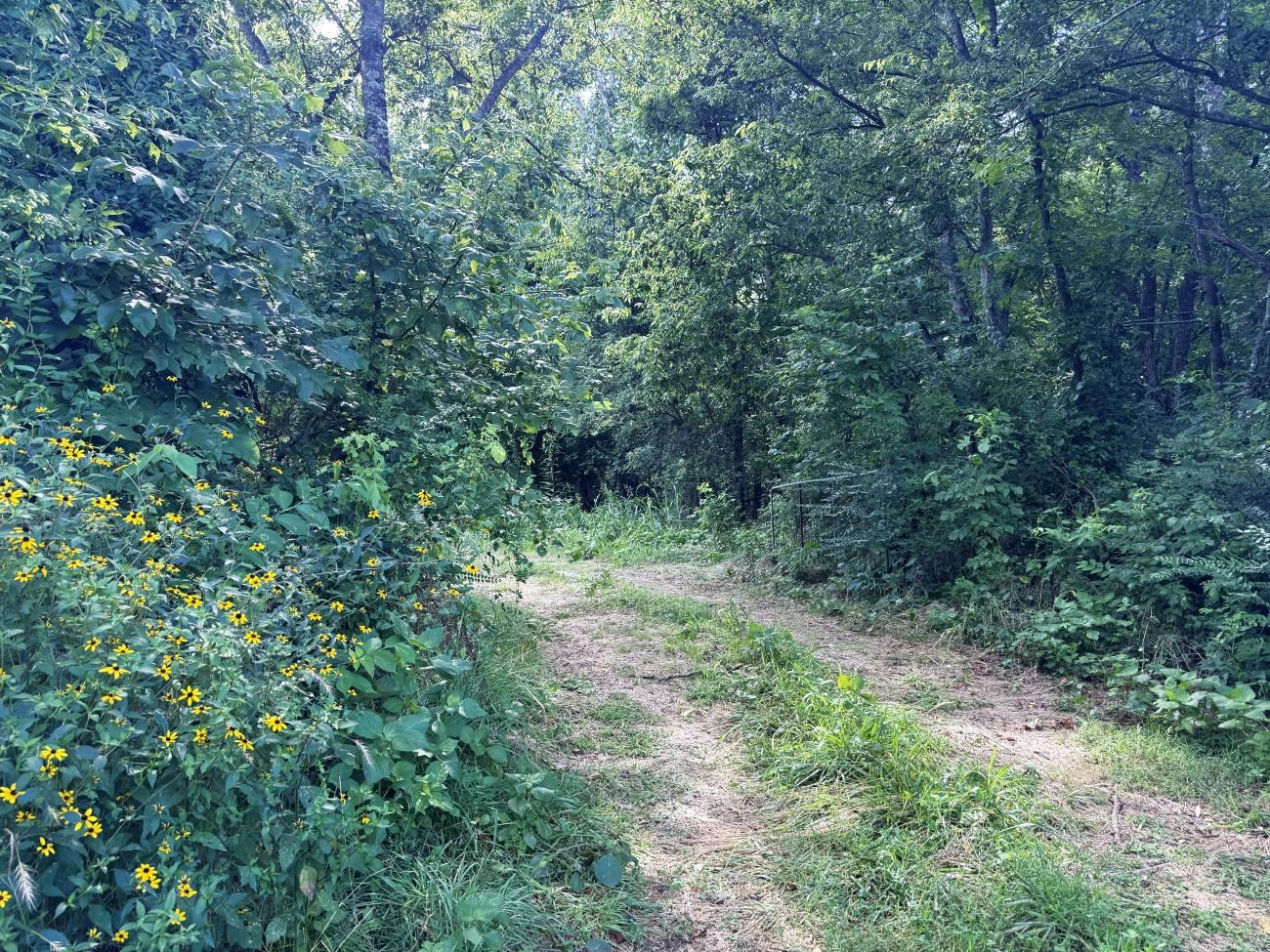 Photo 10 - Vacant Land for sale – 00  Highway 63   Hardy, AR