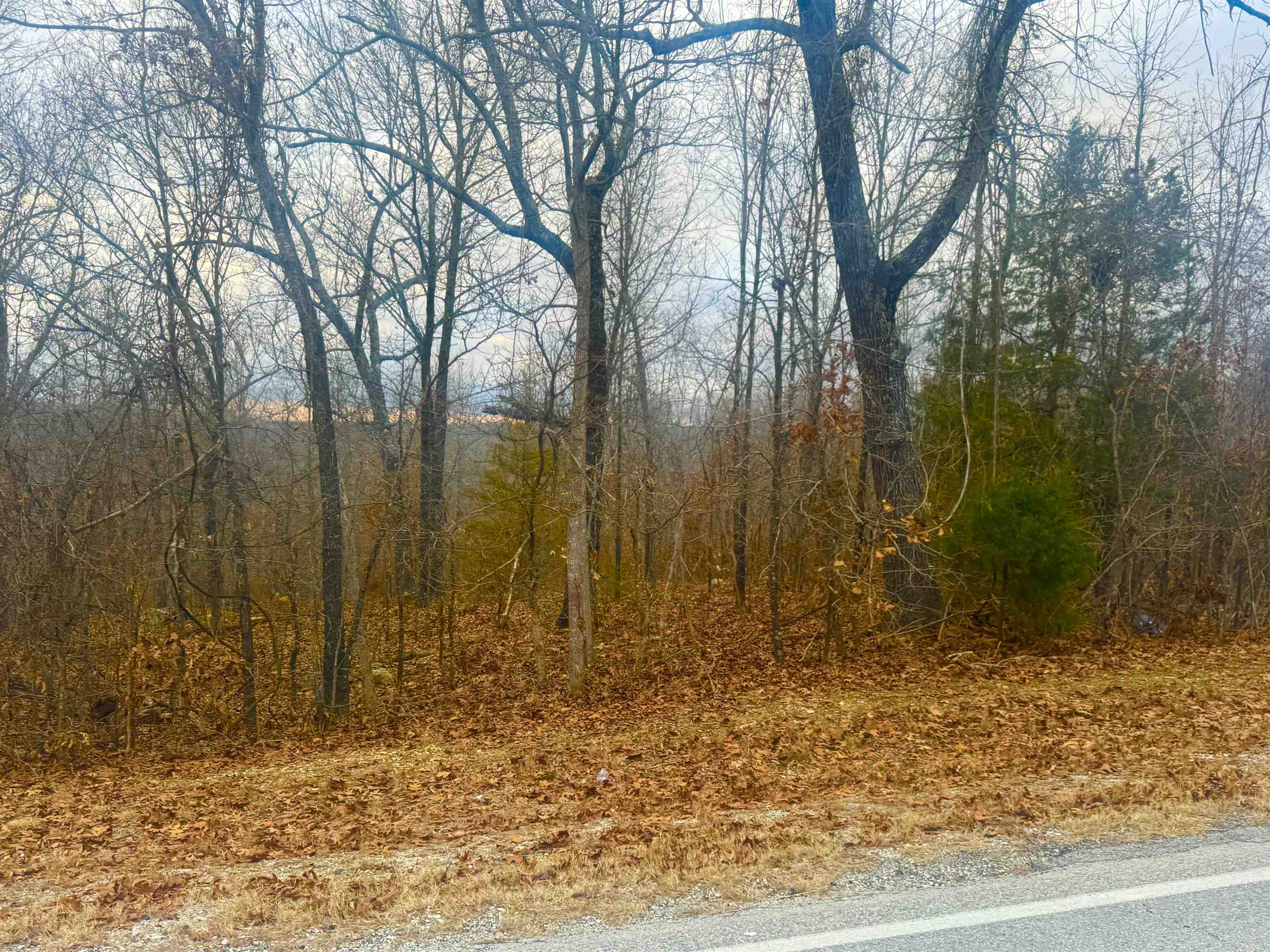 Photo 5 - Vacant Land for sale – 67A  South Bend Drive   Horseshoe Bend, AR