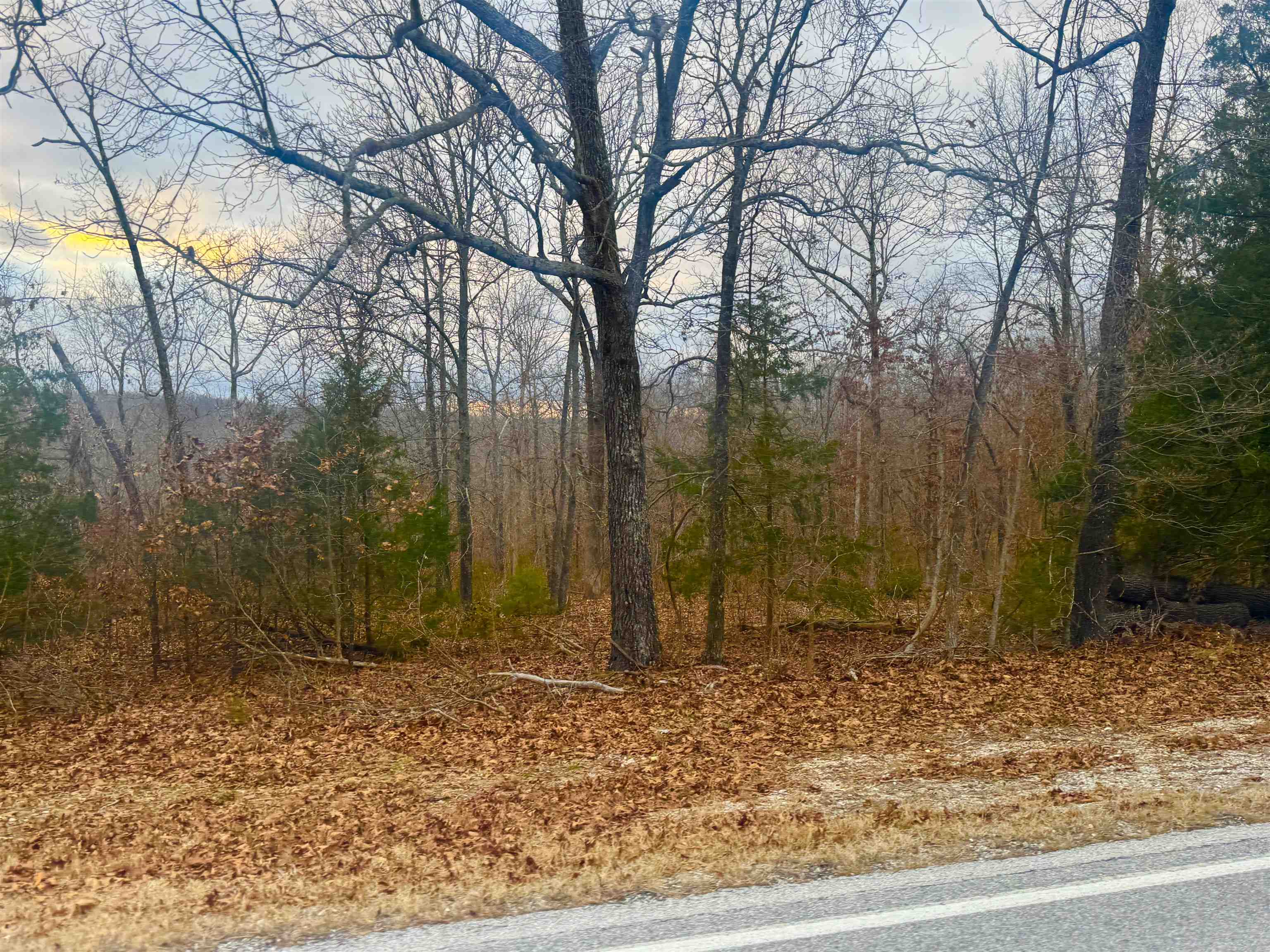 Photo 6 - Vacant Land for sale – 67A  South Bend Drive   Horseshoe Bend, AR