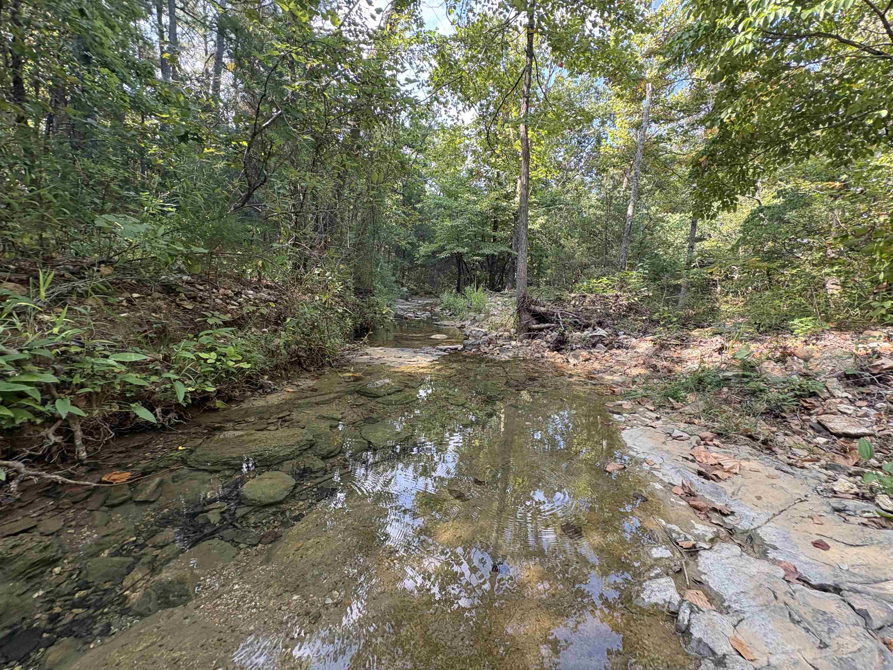 Photo 4 - Residential for sale – 8624 S Highway 63   Mammoth Spring, AR