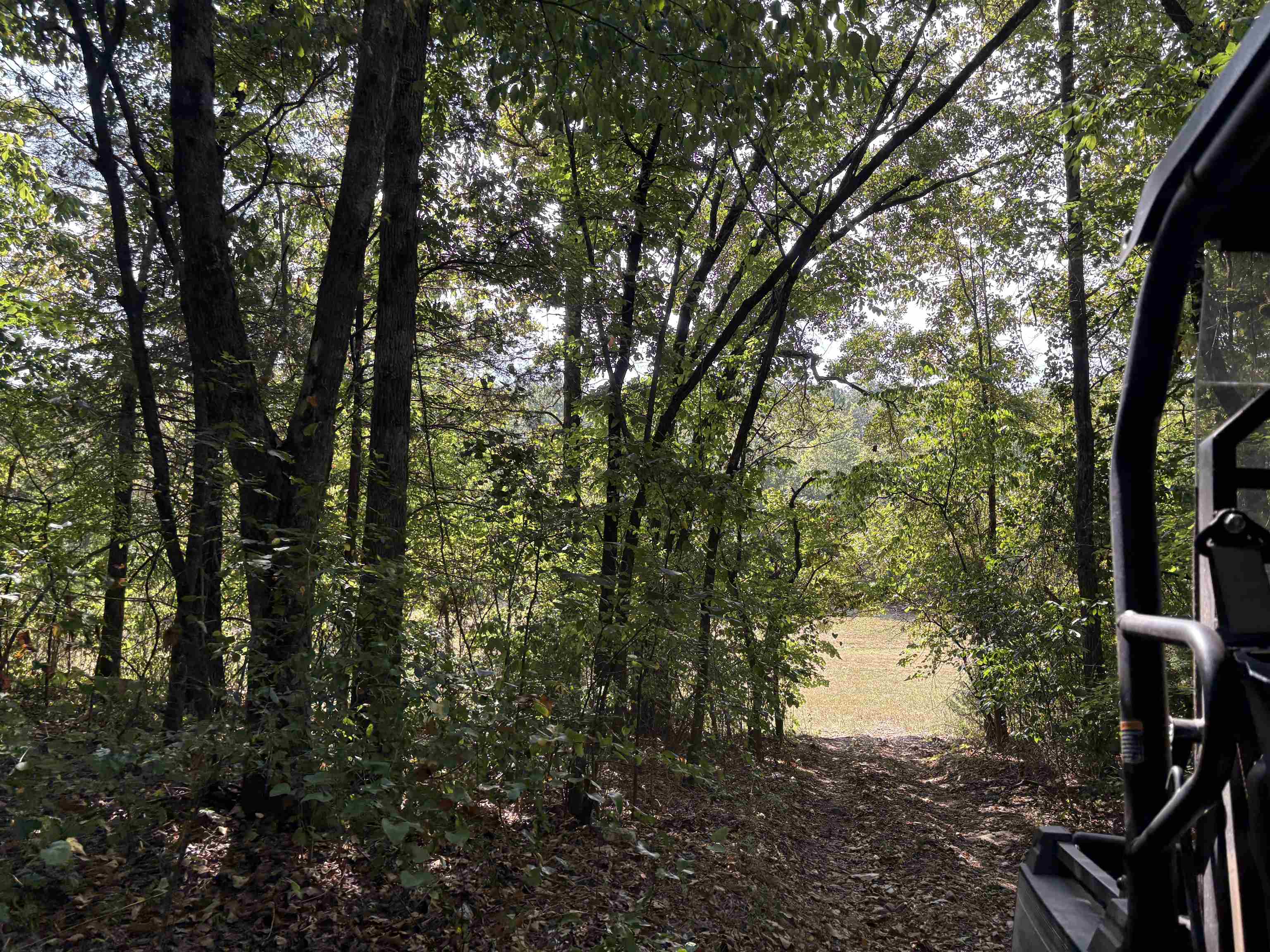 Photo 6 - Residential for sale – 8624 S Highway 63   Mammoth Spring, AR