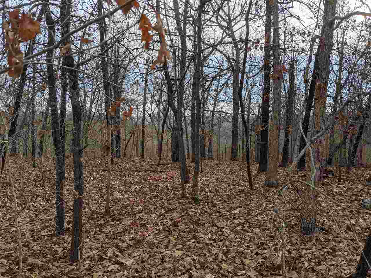 Photo 3 - Vacant Land for sale –   Cherokee Acres   Cherokee Village, AR
