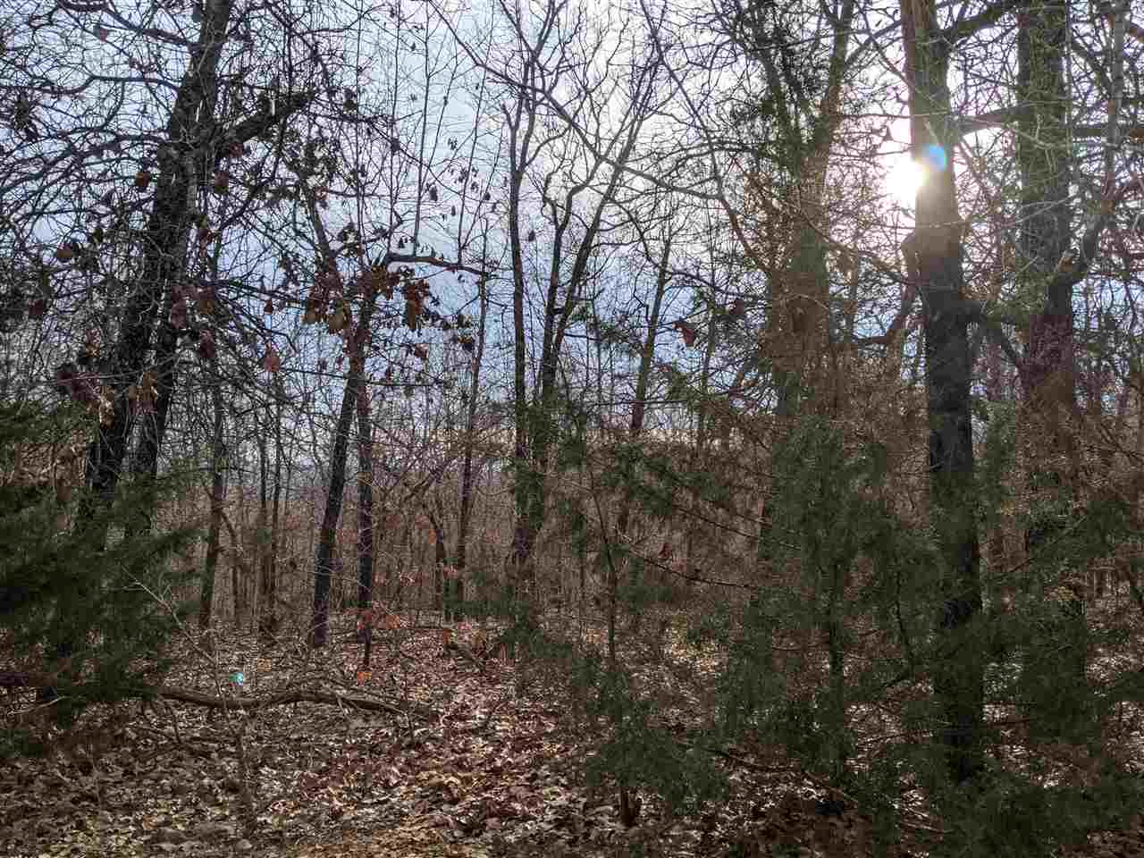 Photo 4 - Vacant Land for sale –   Cherokee Acres   Cherokee Village, AR
