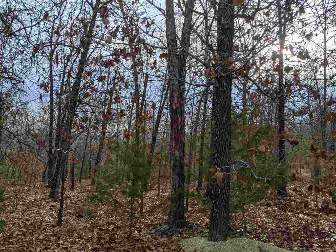 Photo 5 - Vacant Land for sale –   Cherokee Acres   Cherokee Village, AR