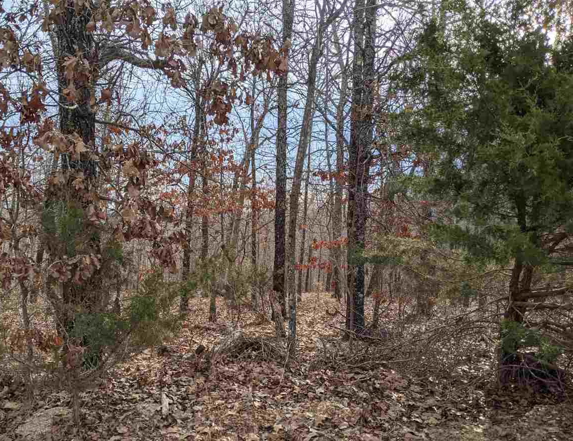 Photo 6 - Vacant Land for sale –   Cherokee Acres   Cherokee Village, AR