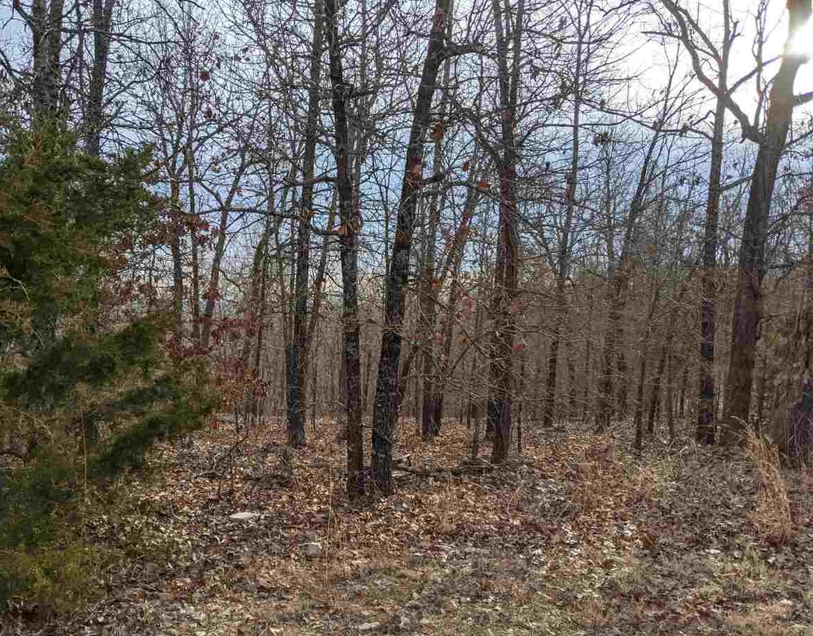 Photo 7 - Vacant Land for sale –   Cherokee Acres   Cherokee Village, AR