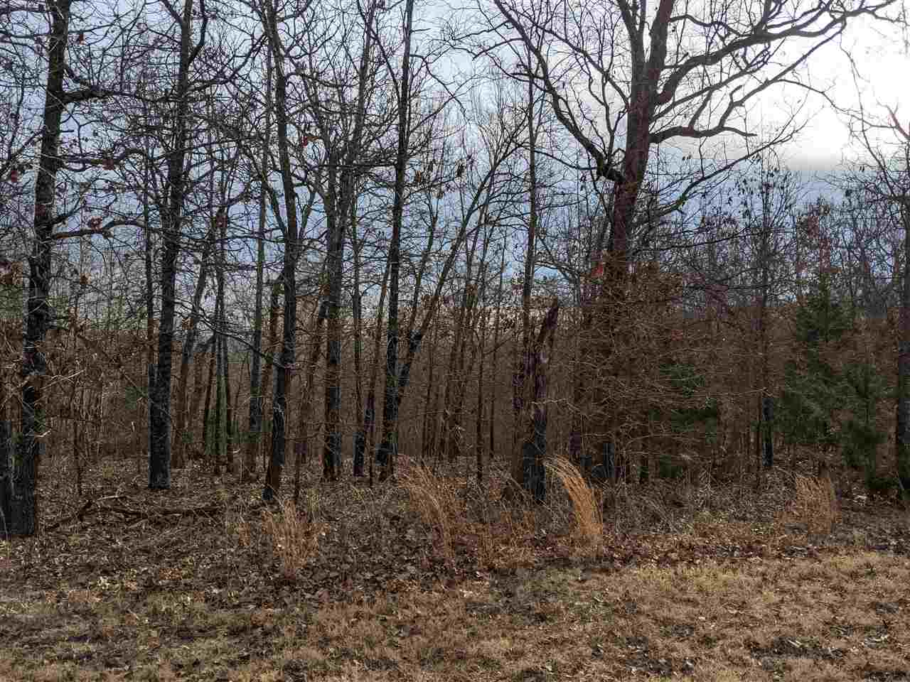 Photo 8 - Vacant Land for sale –   Cherokee Acres   Cherokee Village, AR