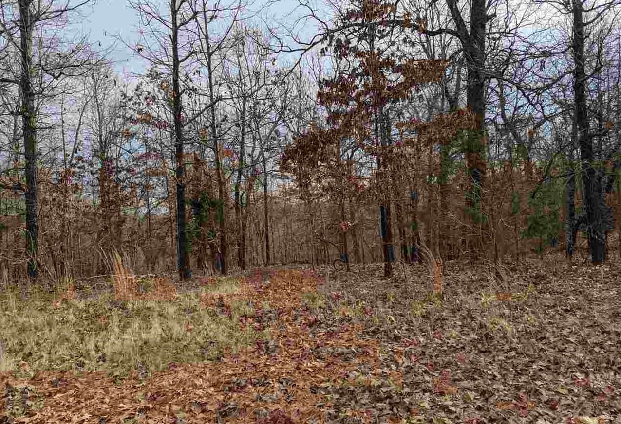 Photo 10 - Vacant Land for sale –   Cherokee Acres   Cherokee Village, AR