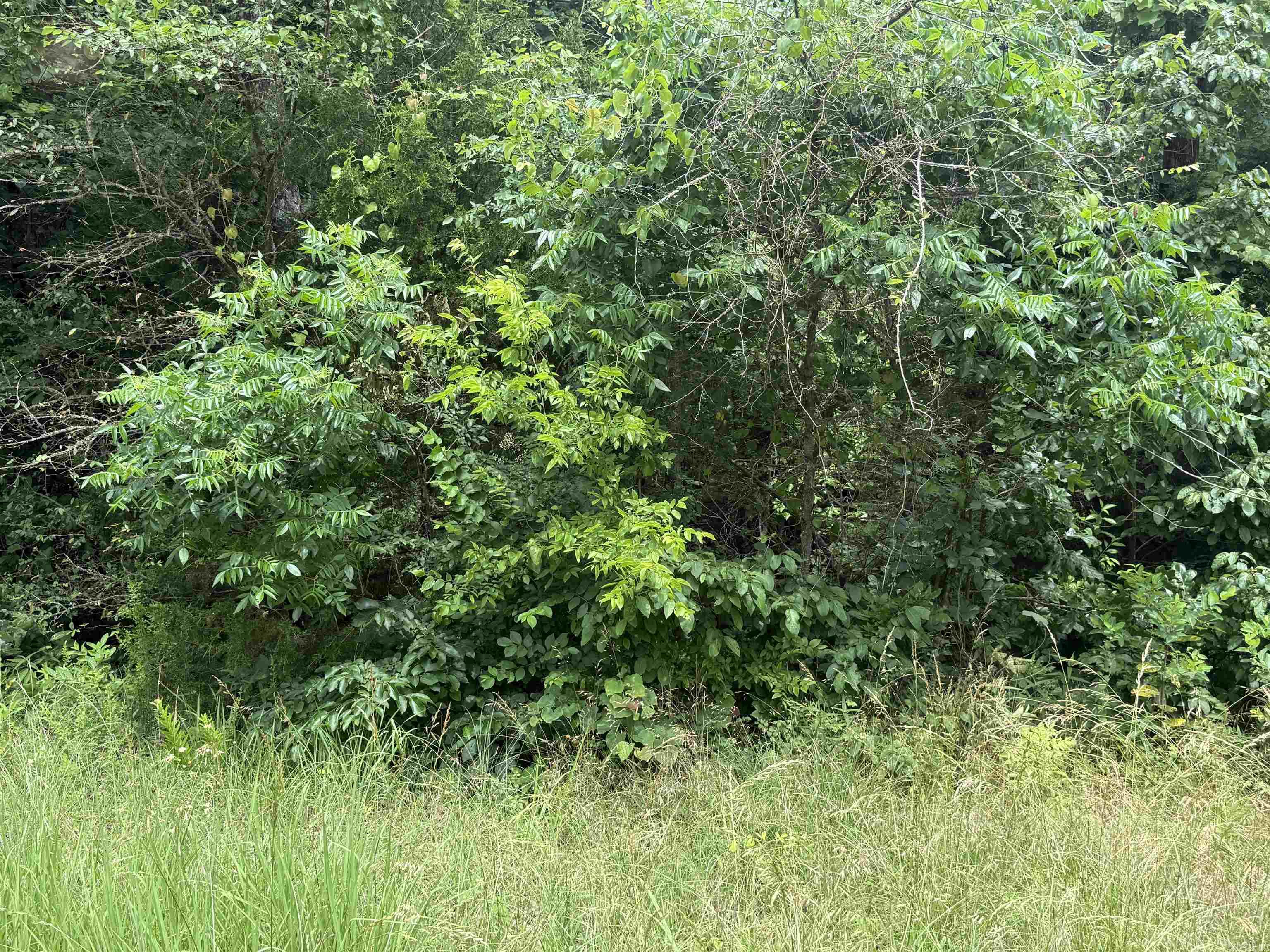 Vacant Land for sale – Lot 41  Seminole Second   Cherokee Village, AR