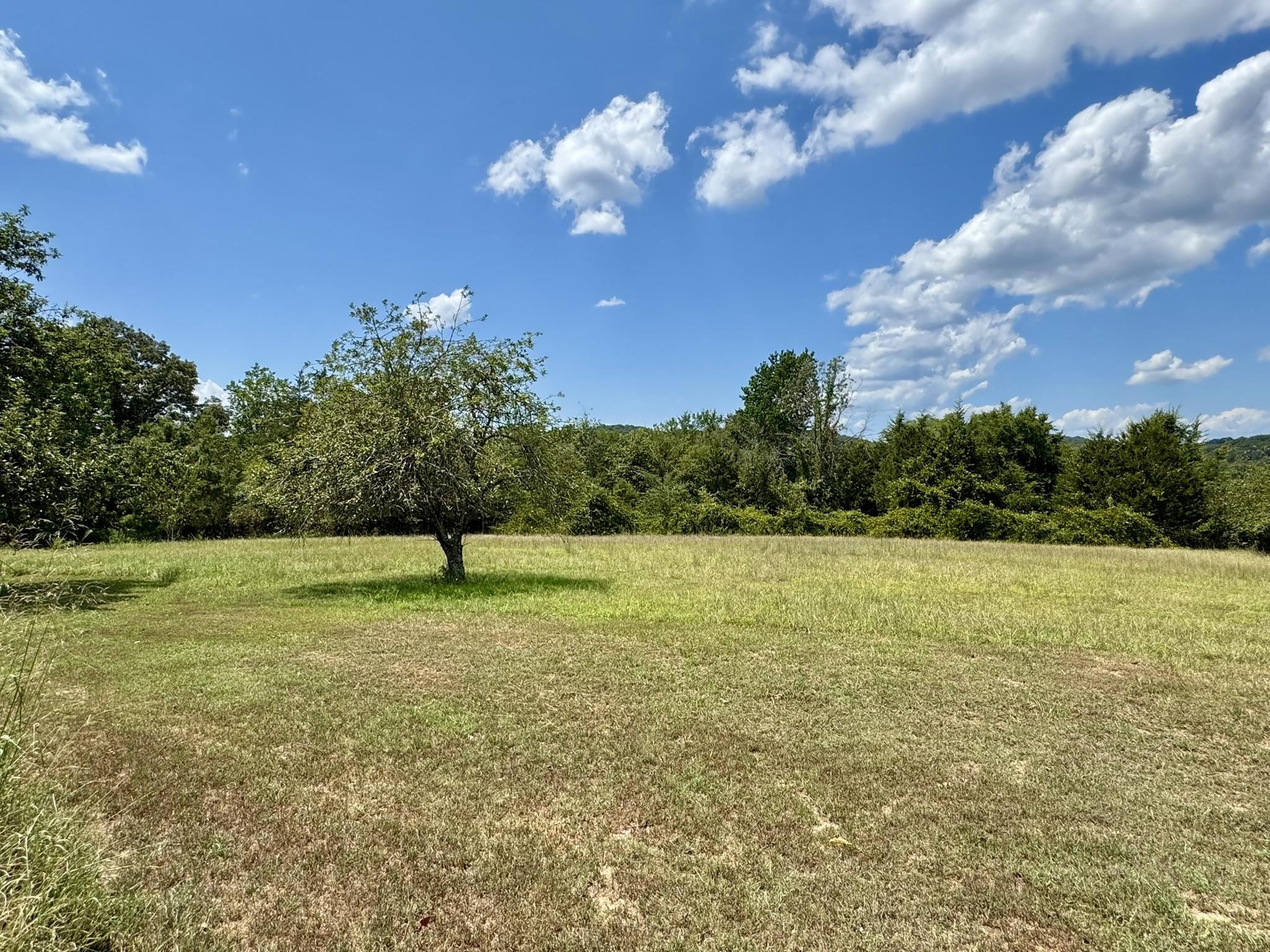 Photo 18 - Residential for sale – 337  Cooper Hollow Road   Mount Pleasant, AR