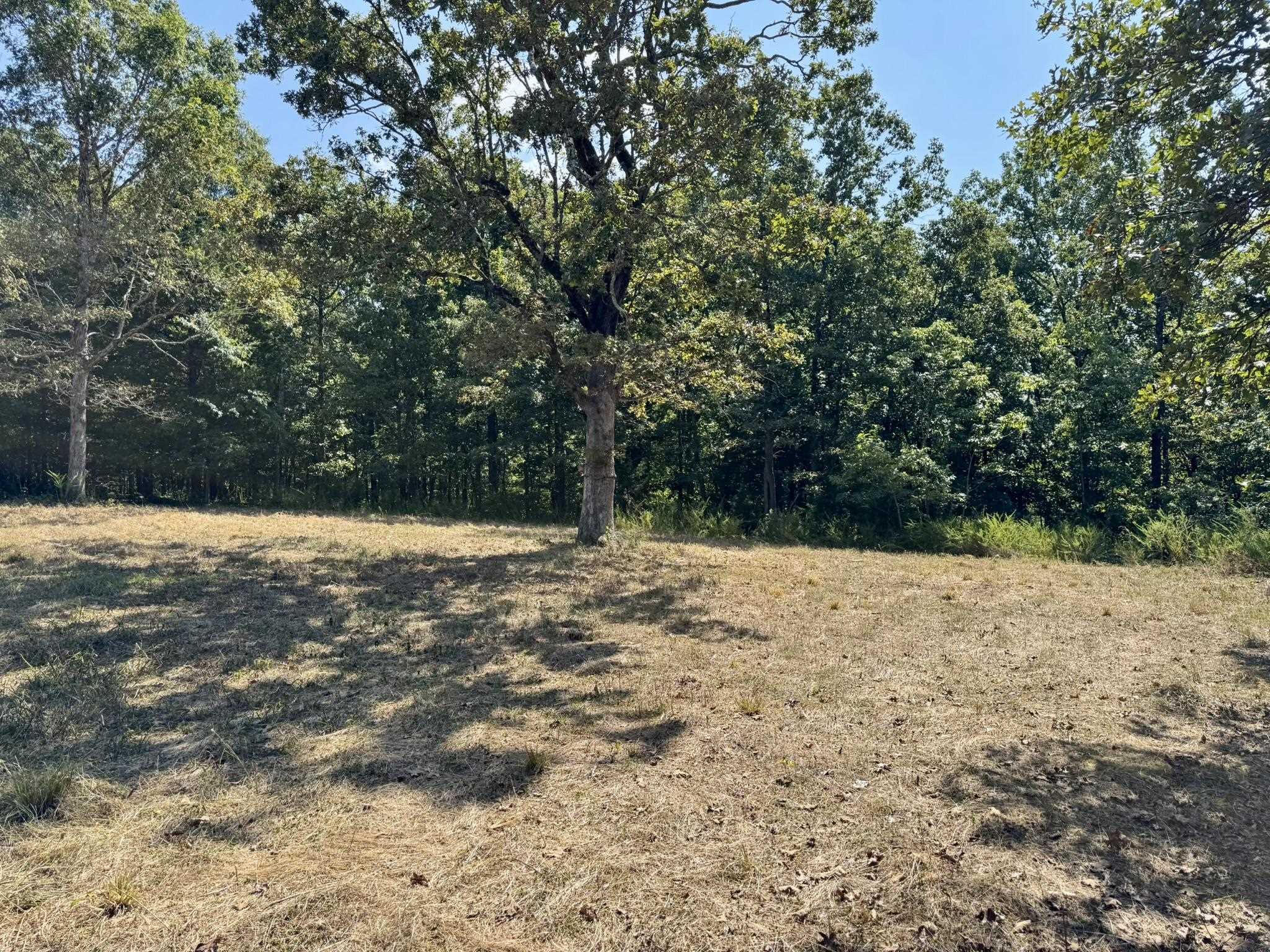 Photo 26 - Residential for sale – 1315  CR 67   Mammoth Spring, AR