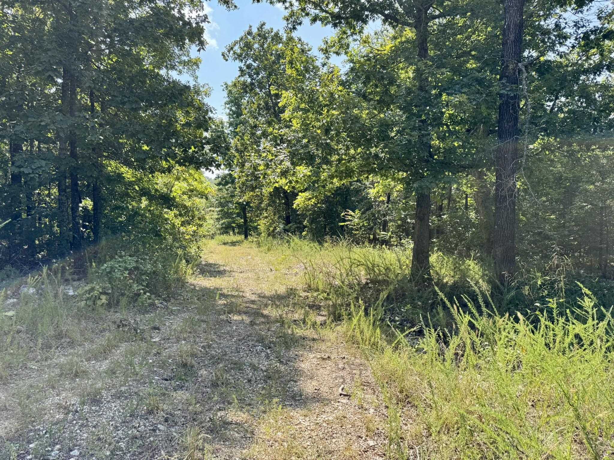 Photo 31 - Residential for sale – 1315  CR 67   Mammoth Spring, AR