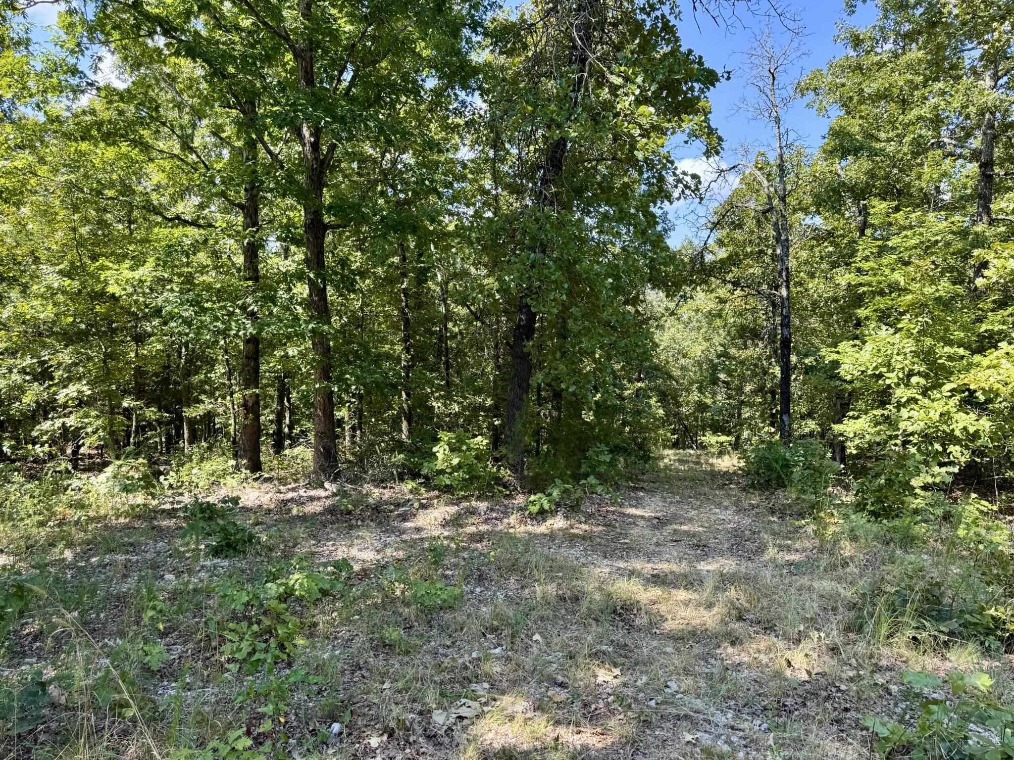 Photo 32 - Residential for sale – 1315  CR 67   Mammoth Spring, AR
