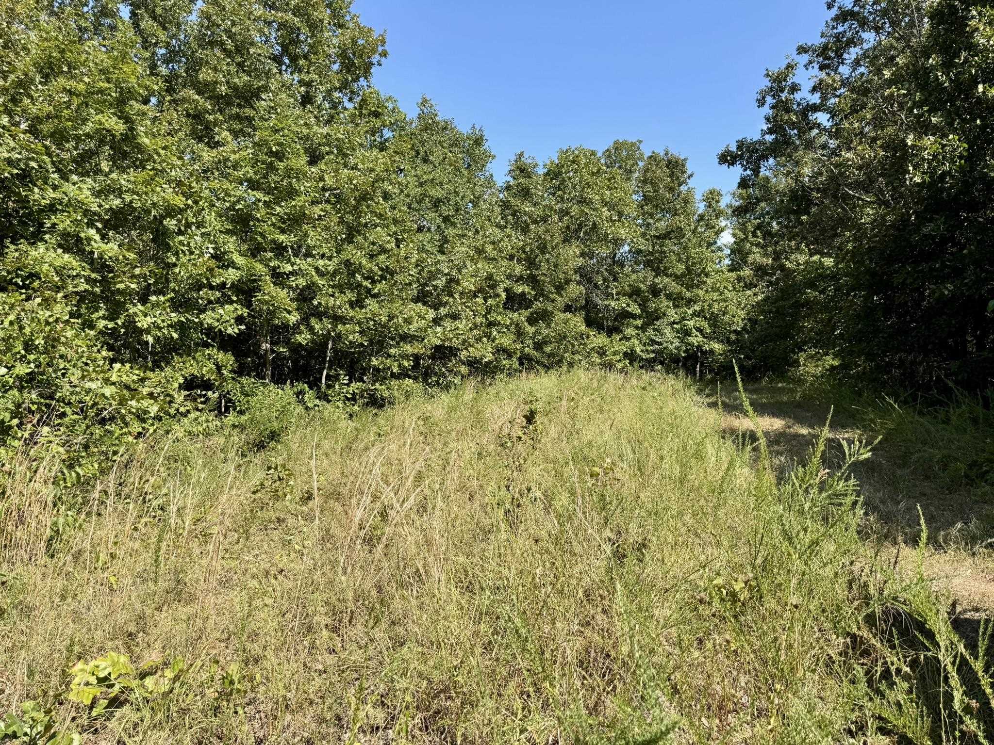Photo 33 - Residential for sale – 1315  CR 67   Mammoth Spring, AR