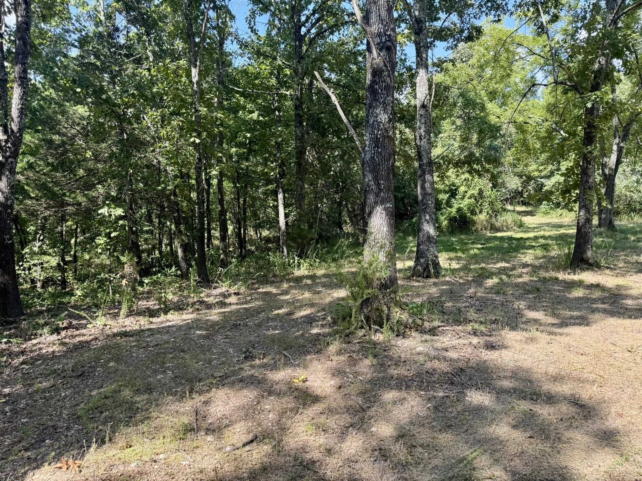 Photo 34 - Residential for sale – 1315  CR 67   Mammoth Spring, AR