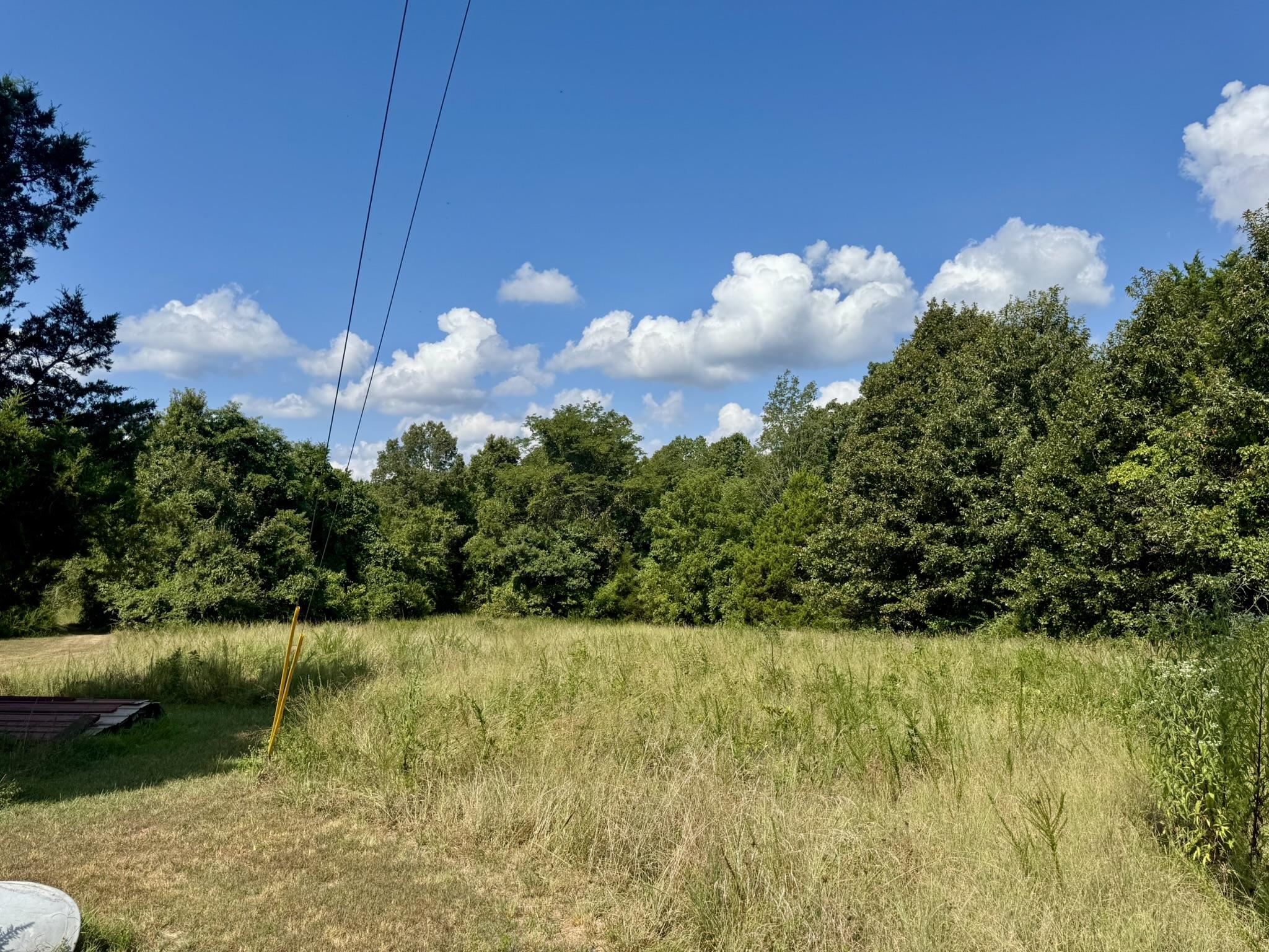 Photo 38 - Residential for sale – 1315  CR 67   Mammoth Spring, AR