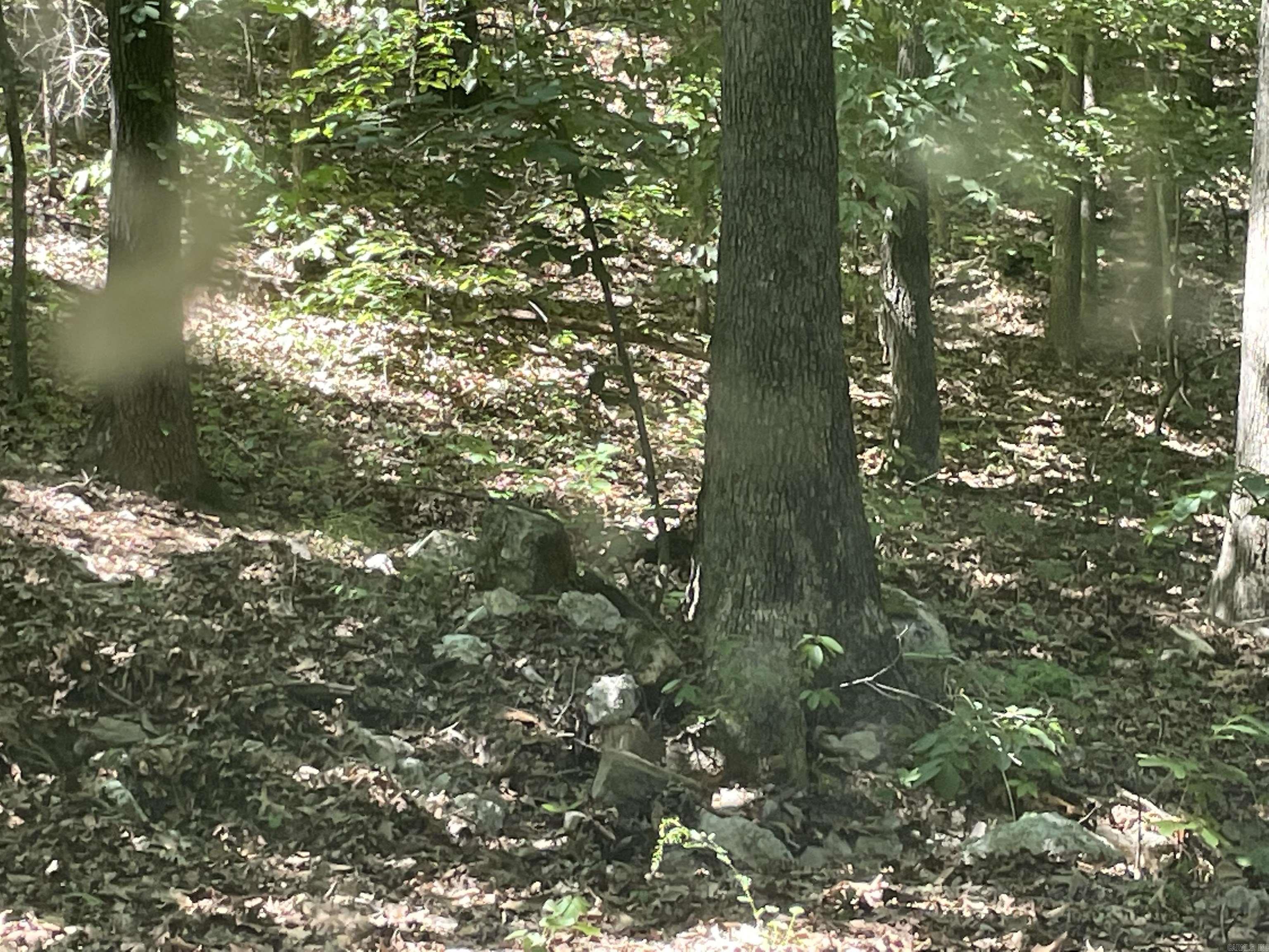 Vacant Land for sale – 141  Duncan Ln   Poughkeepsie, AR