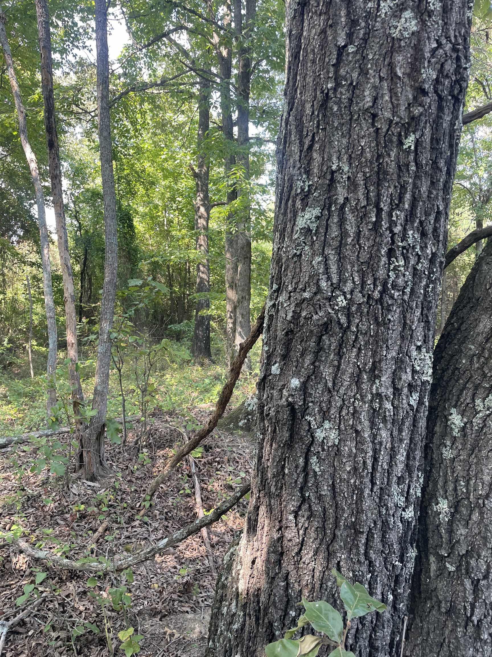 Photo 12 - Vacant Land for sale – 141  Duncan Ln   Poughkeepsie, AR