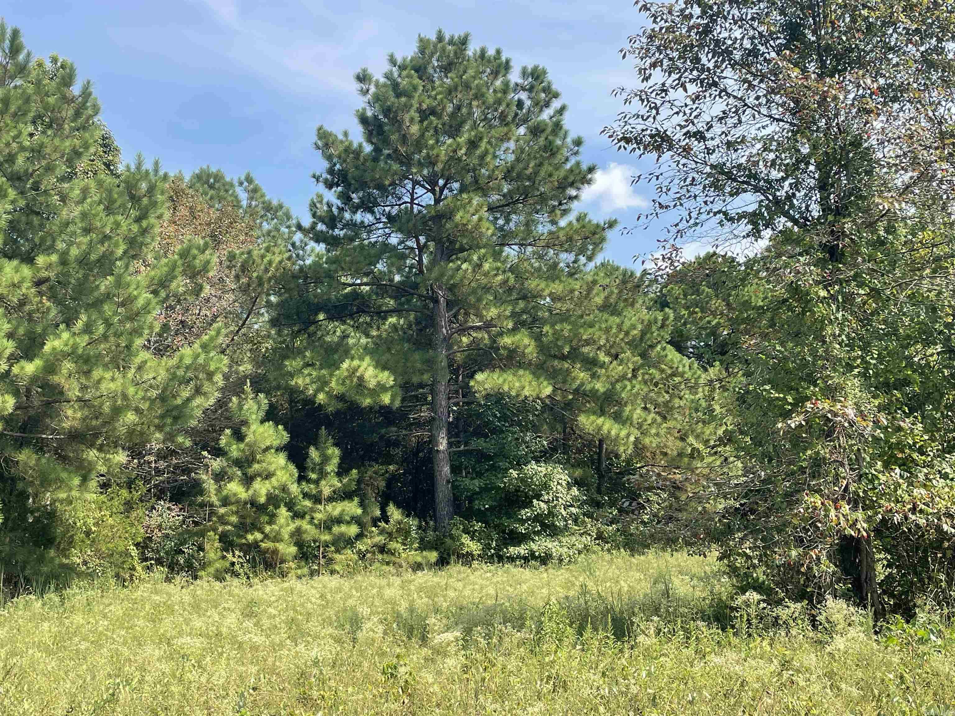 Photo 14 - Vacant Land for sale – 141  Duncan Ln   Poughkeepsie, AR