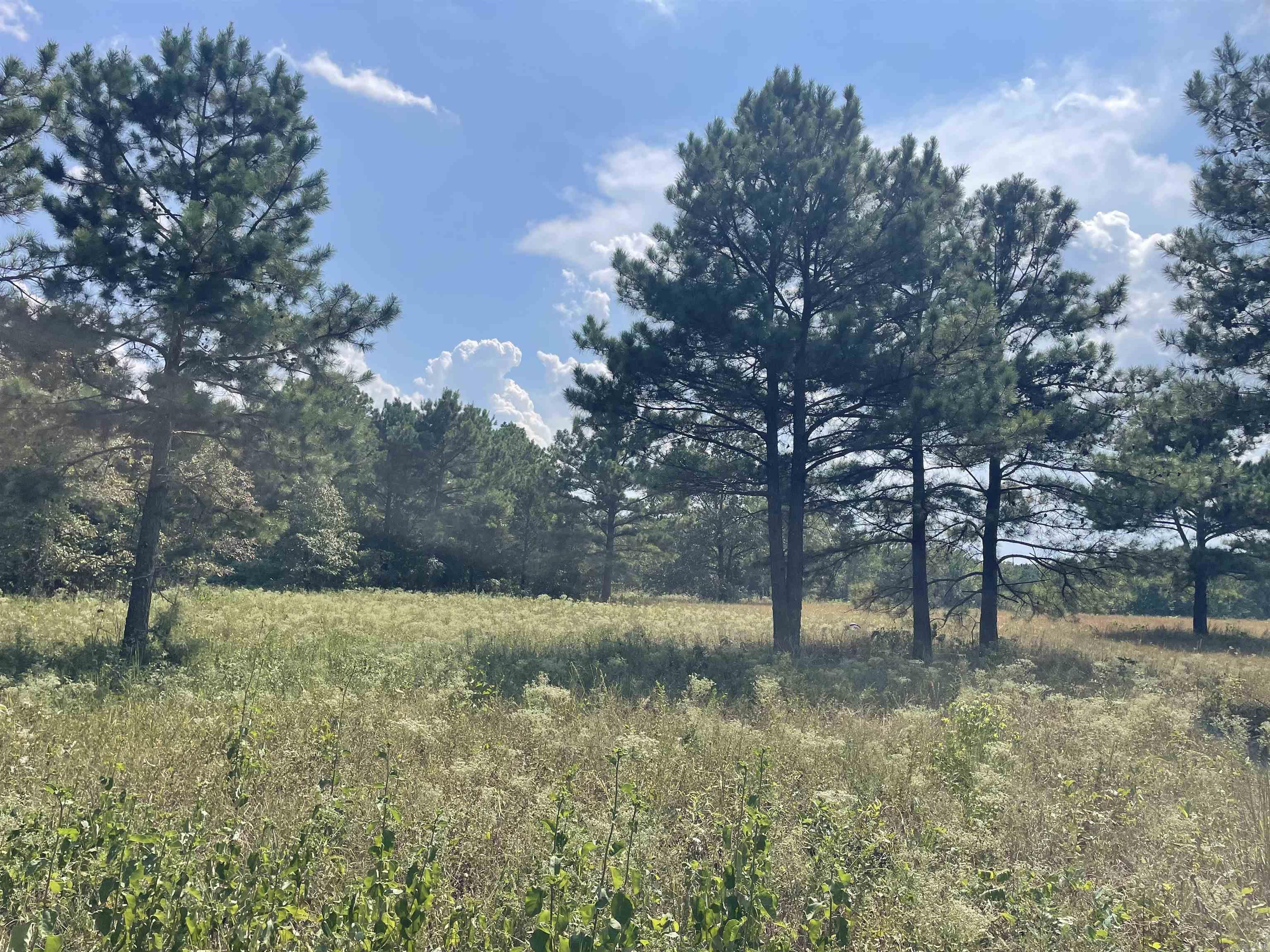 Photo 16 - Vacant Land for sale – 141  Duncan Ln   Poughkeepsie, AR