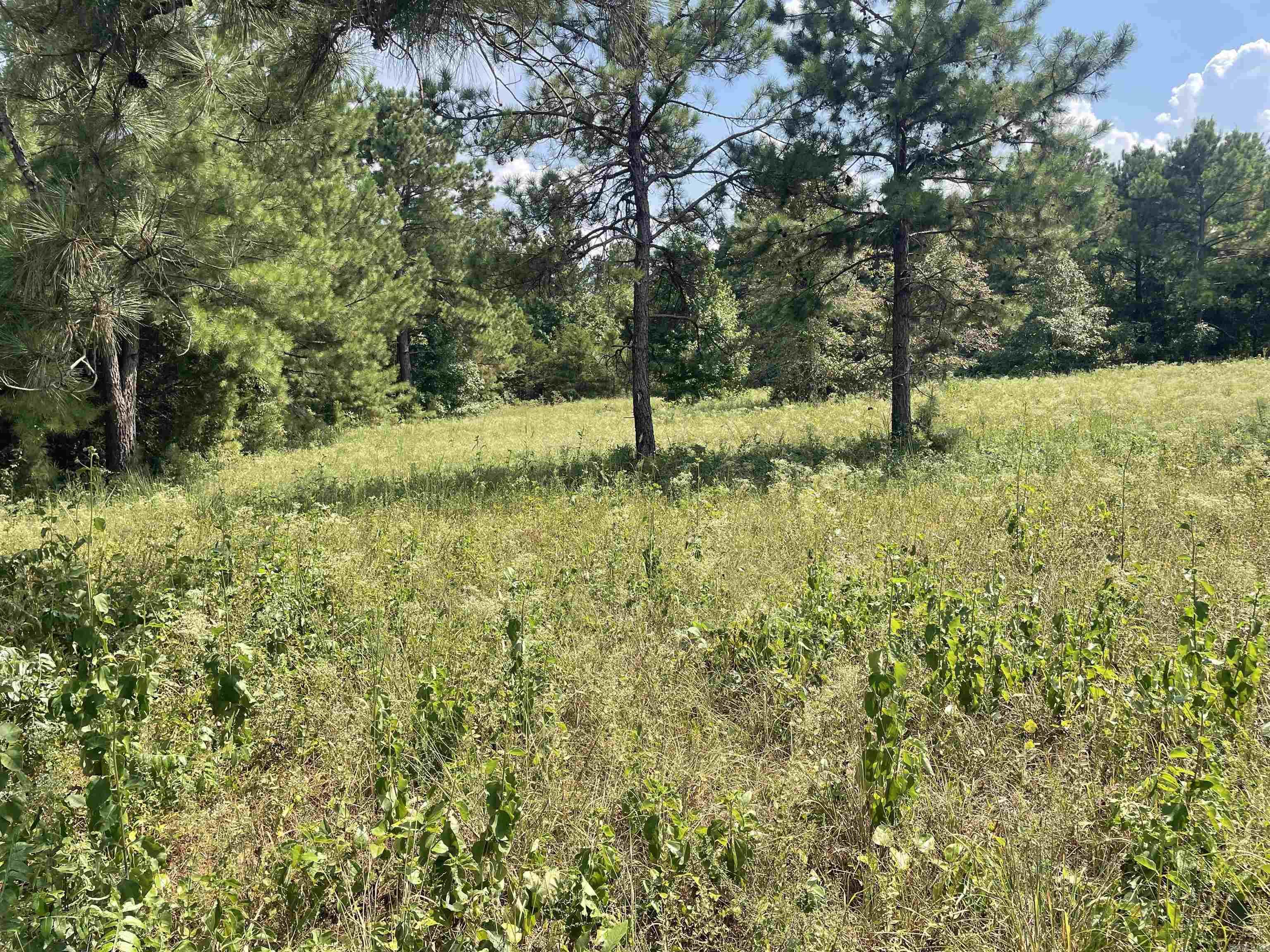 Photo 17 - Vacant Land for sale – 141  Duncan Ln   Poughkeepsie, AR